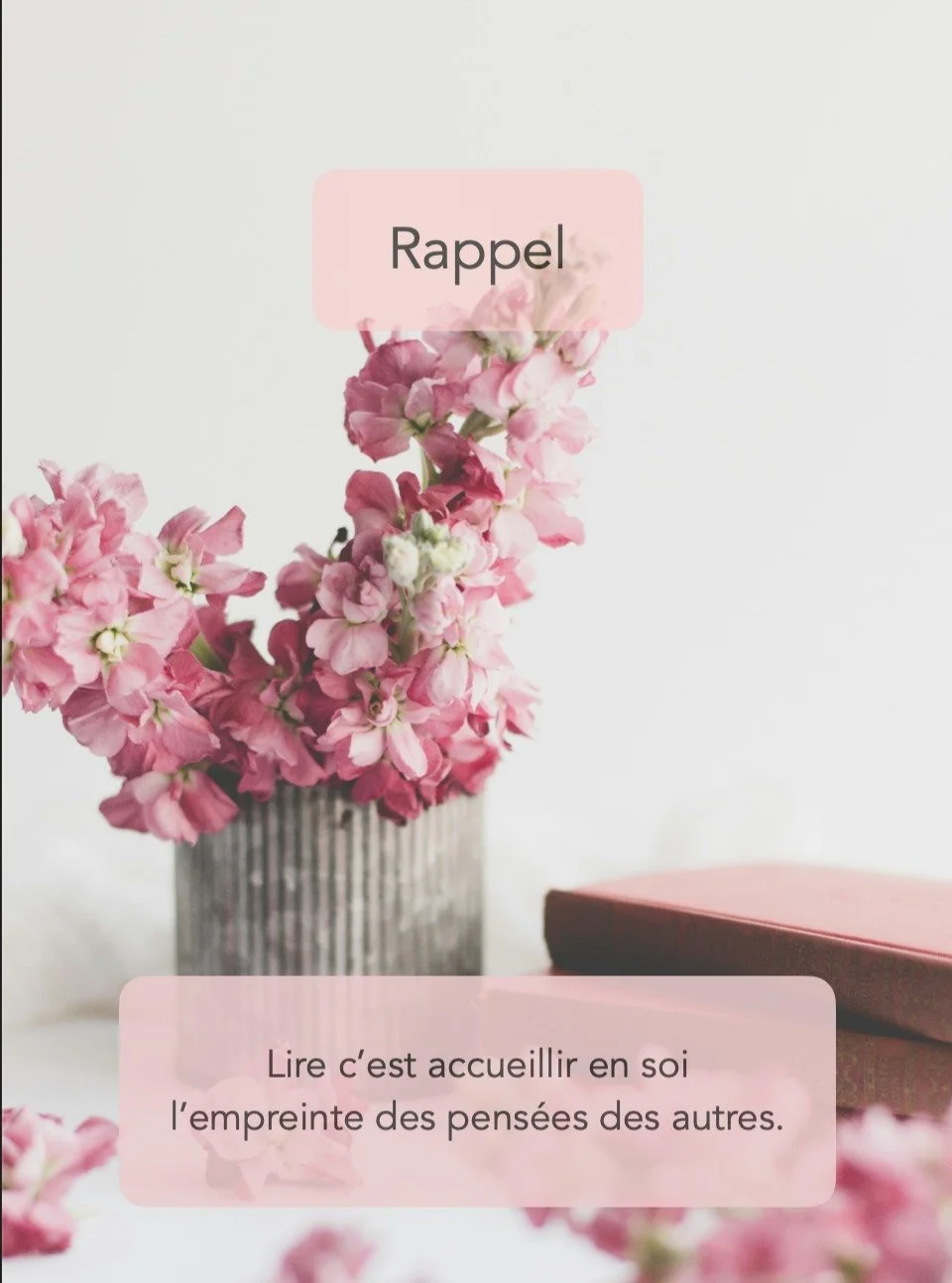 Empreintes conscientes ou insoup&ccedil;onn&eacute;es, qui sait les traces laiss&eacute;es par un livre ?

www.leseditionsaupluriel.com
www.atelier-pluriel.com

#rappel #lire #lirepourleplaisir #phrasedujour #citationdujour #livre #livres #livrestagr