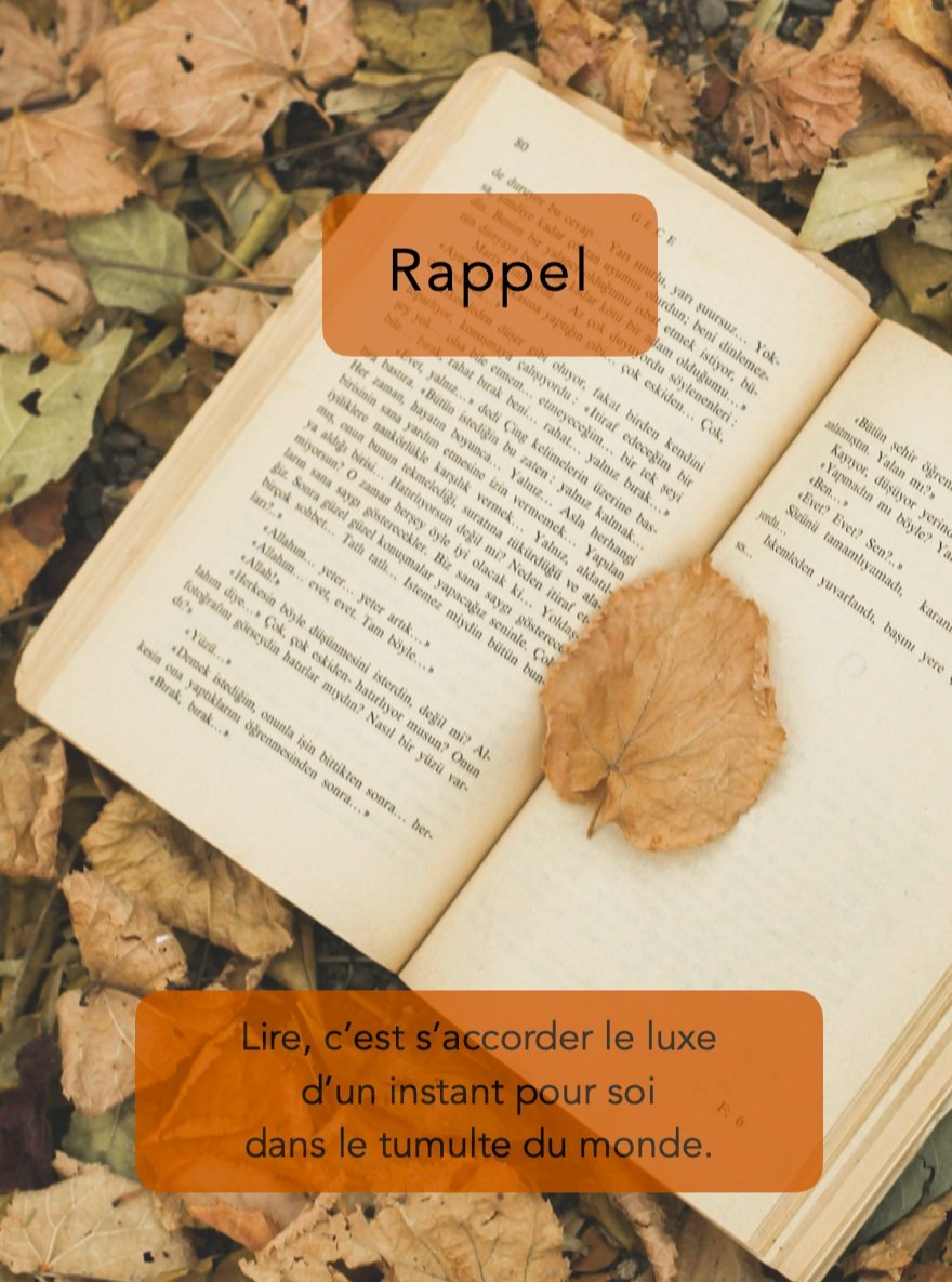 Un luxe que les &eacute;ditions au Pluriel mettent &agrave; la port&eacute;e de tous...

www.leseditionsaupluriel.com
www.atelier-pluriel.com

#rappel #citation #phrasedujour #lire #livre #livres #read #reading #readmore #readmorebooks #book #books #