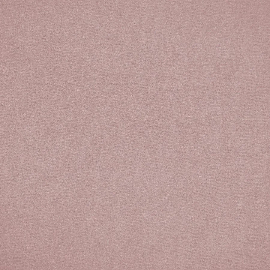 Pale Rose