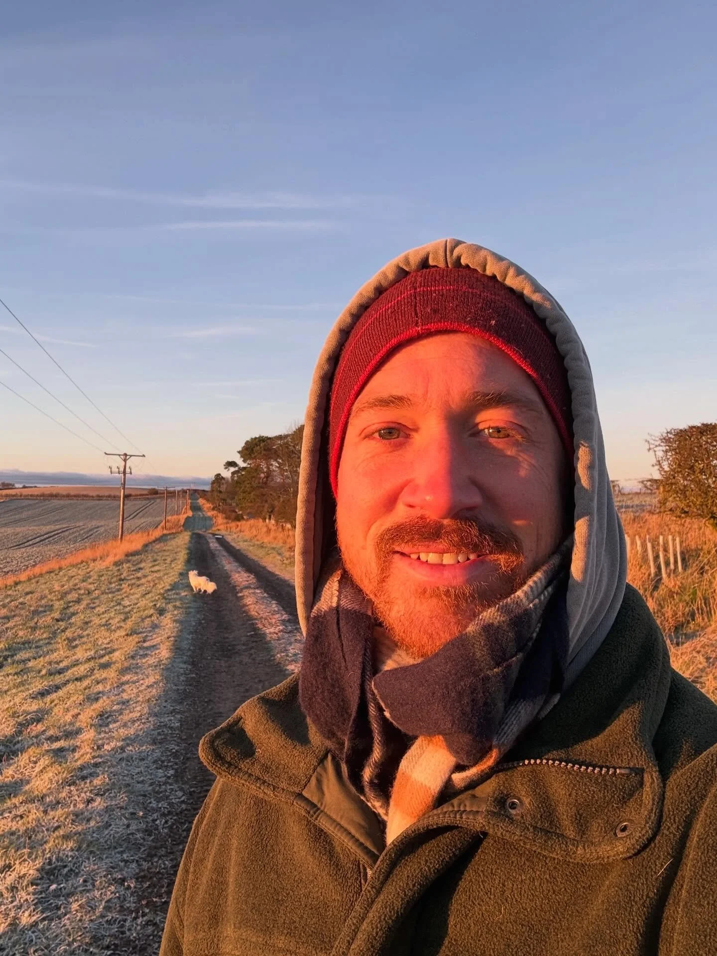 Glorious morning on the farm. ❄️❄️❄️