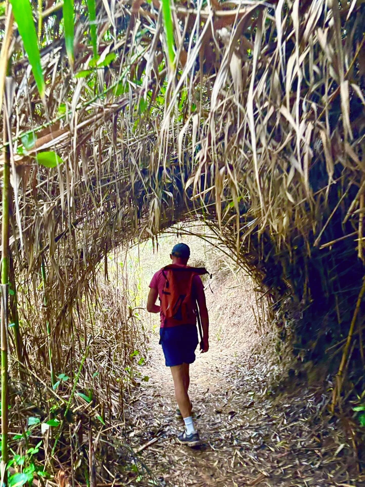 Dreaming of Spring adventures with lovely groups exploring the epic coastlines of Alentejo, Portugal.

Photo by @davidbolt 

#nakedyoga #yogaforgaymen #gayretreat #gayportugal 

@luanuabnb