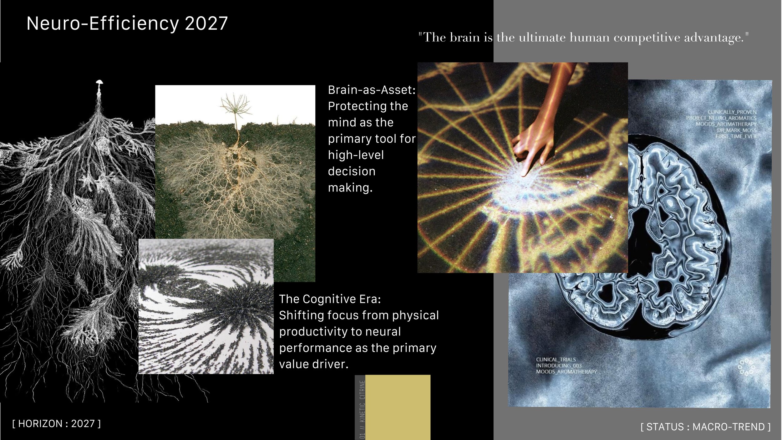 Neuro-Efficiency 2027-01.jpg