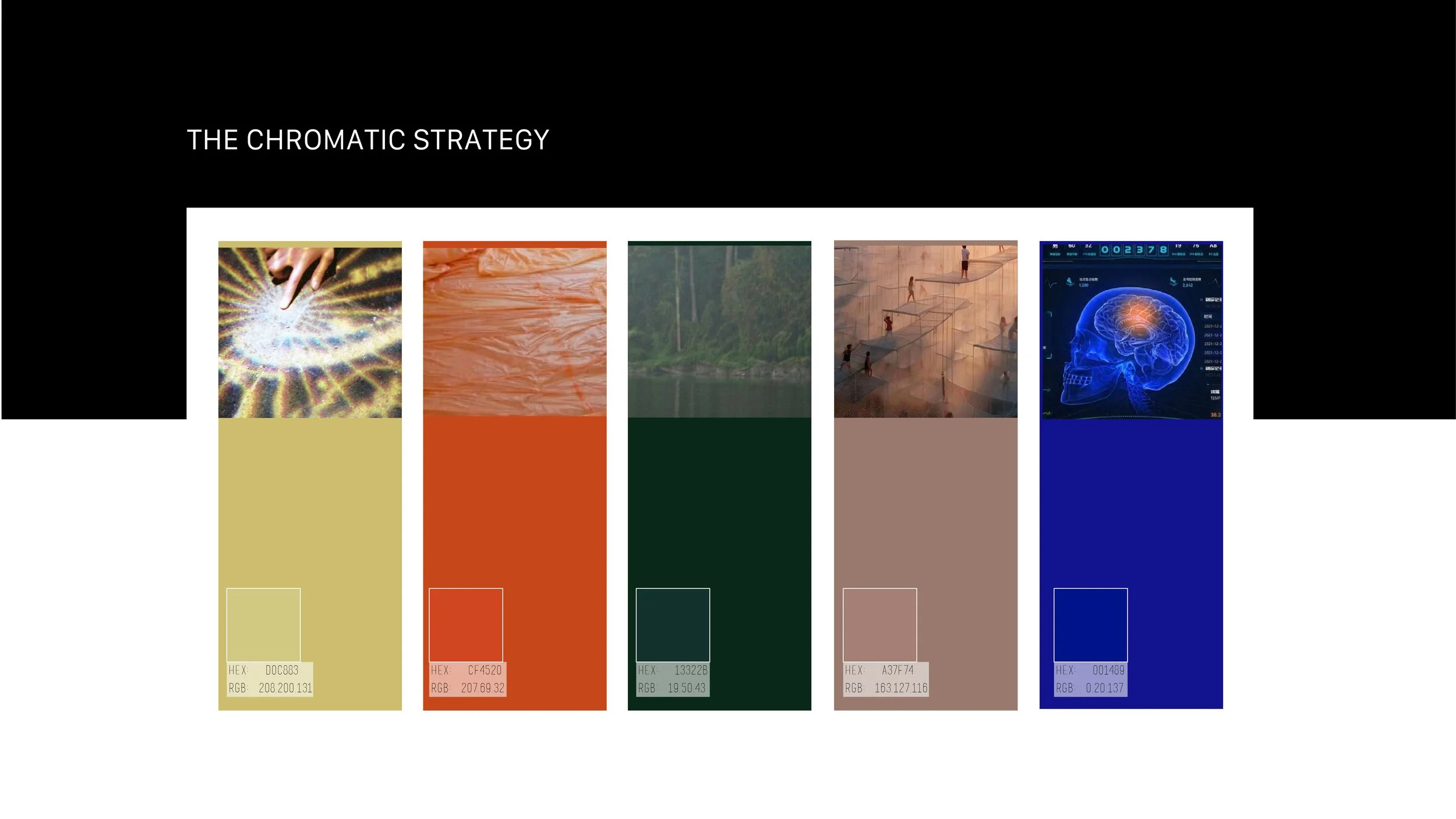 Neuro-Efficiency 2027-06.jpg