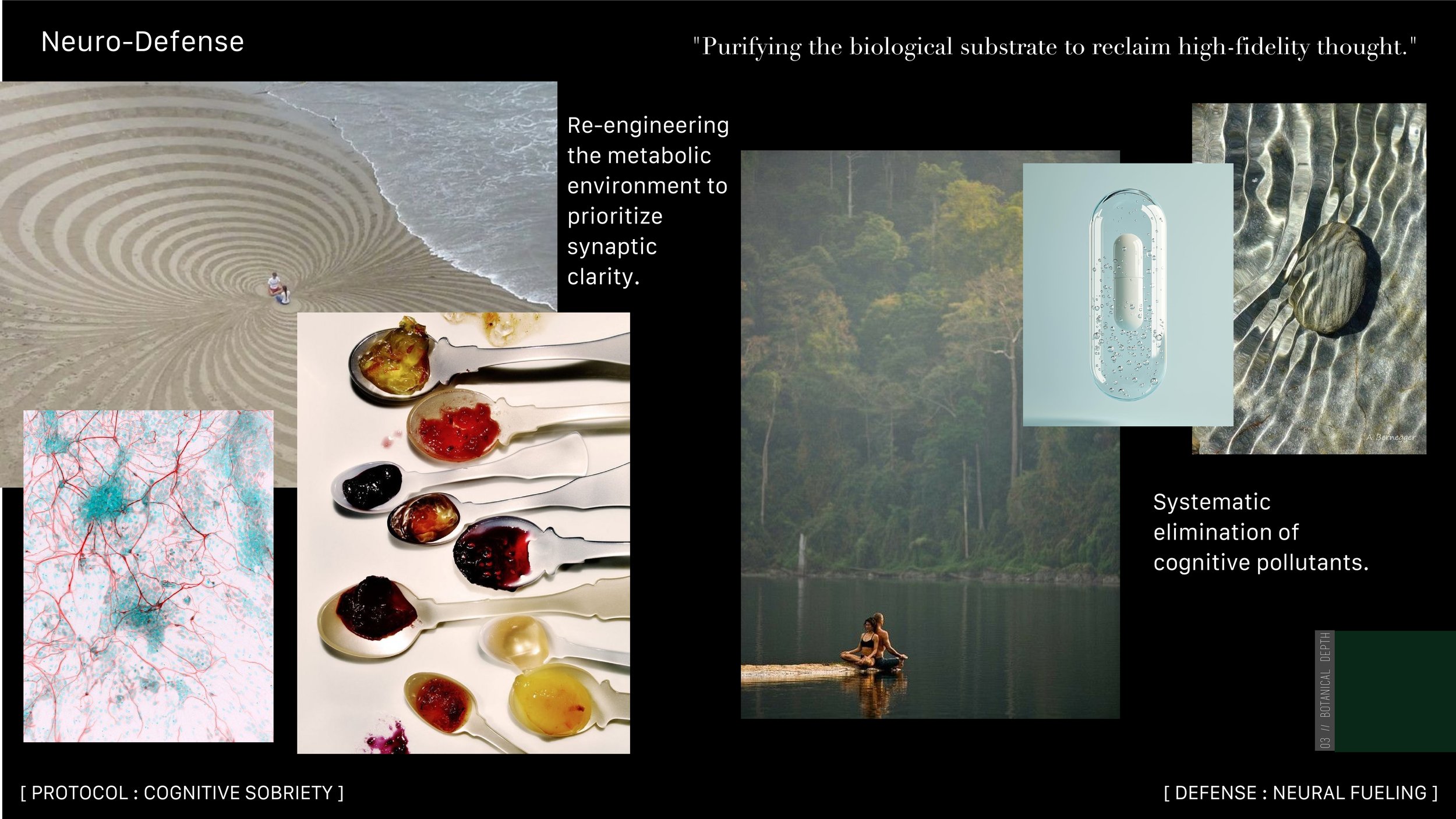 Neuro-Efficiency 2027-03.jpg