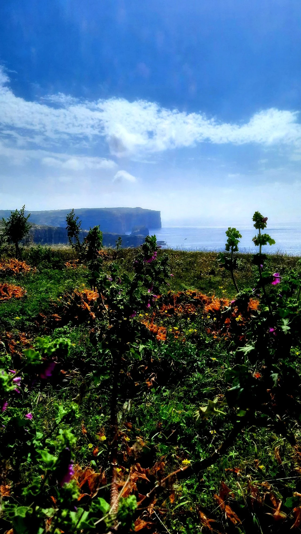 Cliffs in distance Gozo.jpg