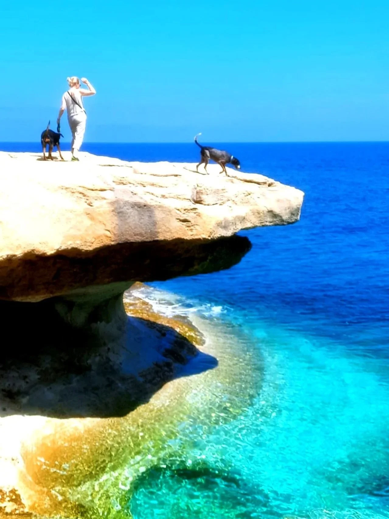 gozo-coastal-hiking-with-dogs.jpg