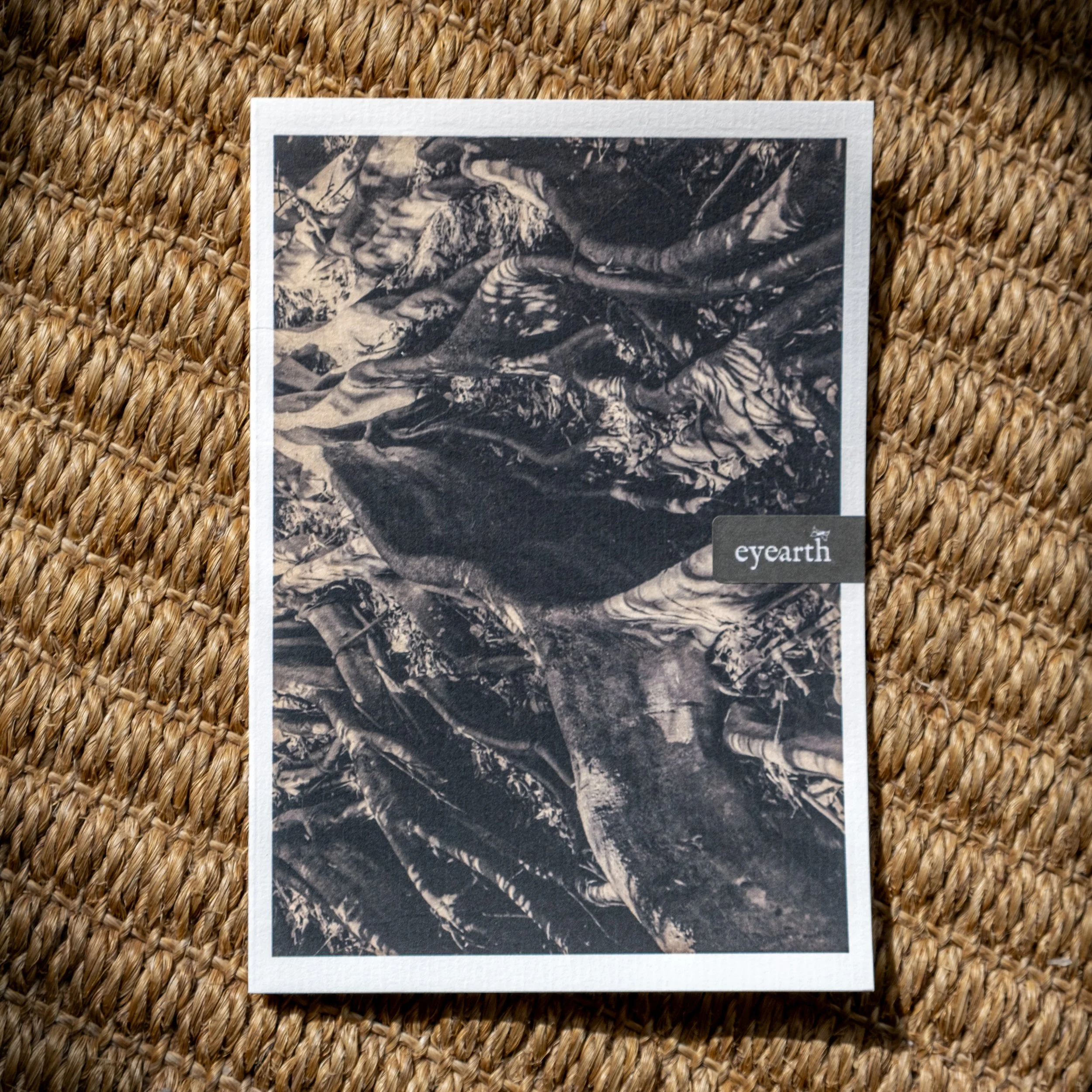 Rooted | A6 POSTCARD
