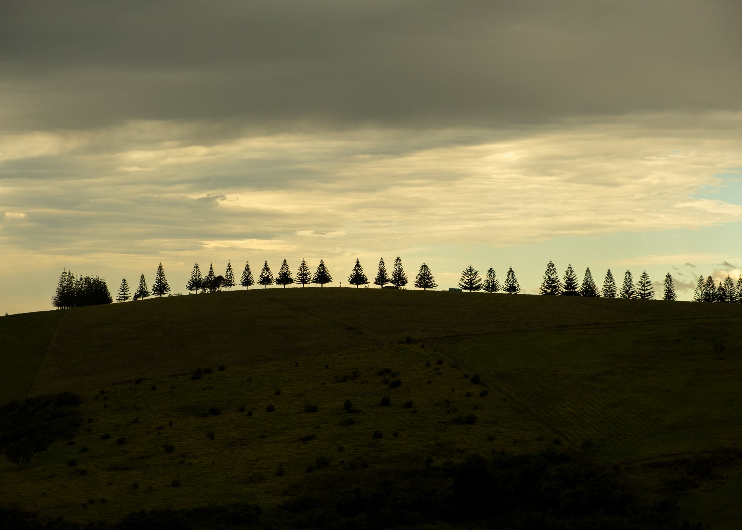 "In line", Australia.