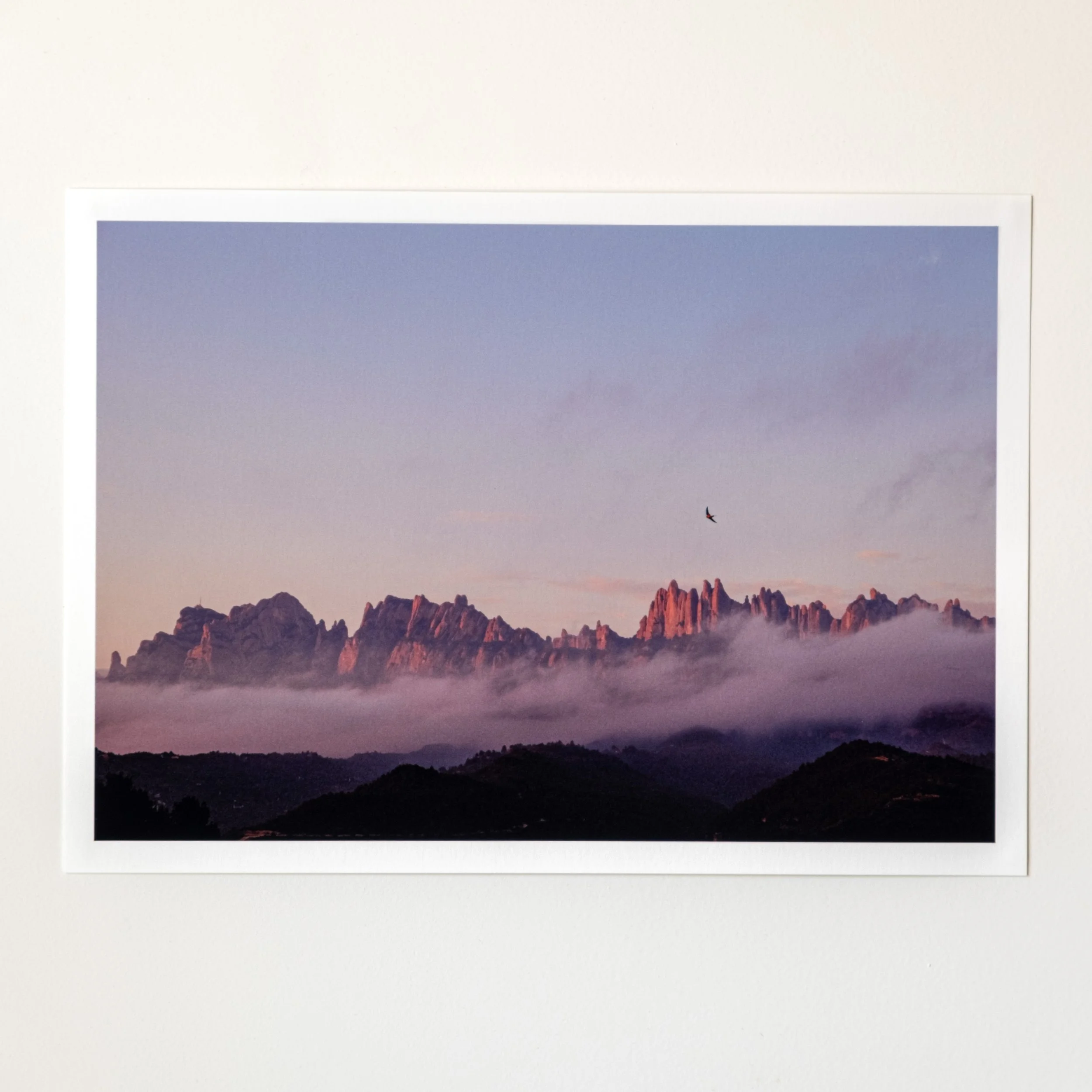 Montserrat rosat. | A4 ART PRINT