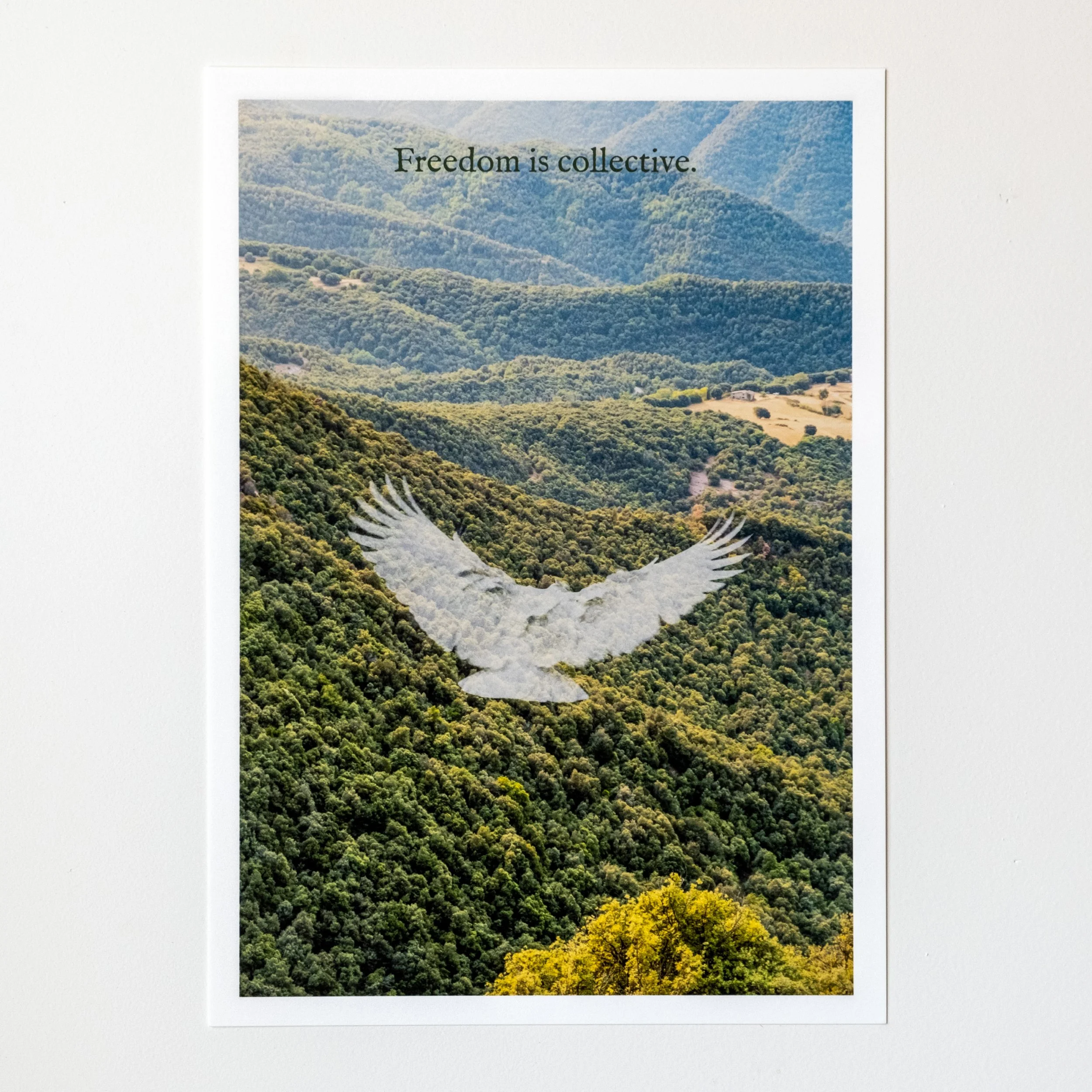 Freedom is collective. | A4 ART PRINT