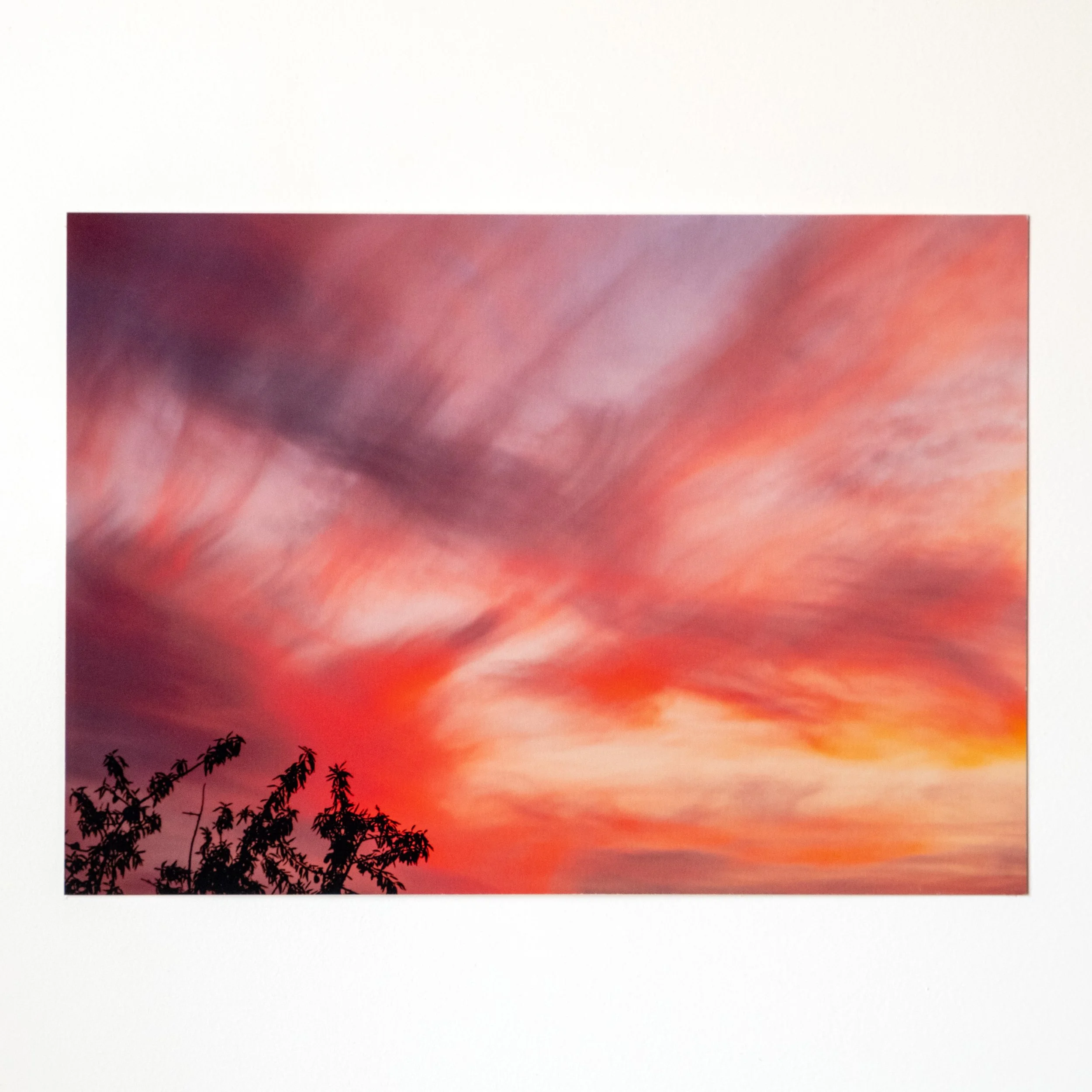 CIRRUS ROSE. | A4 ART PRINT
