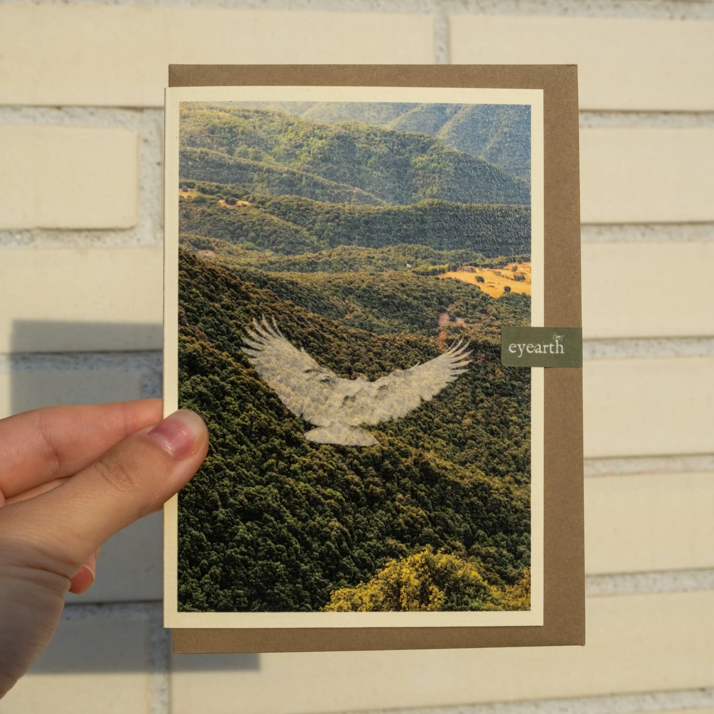 We belong | A6 POSTCARD
