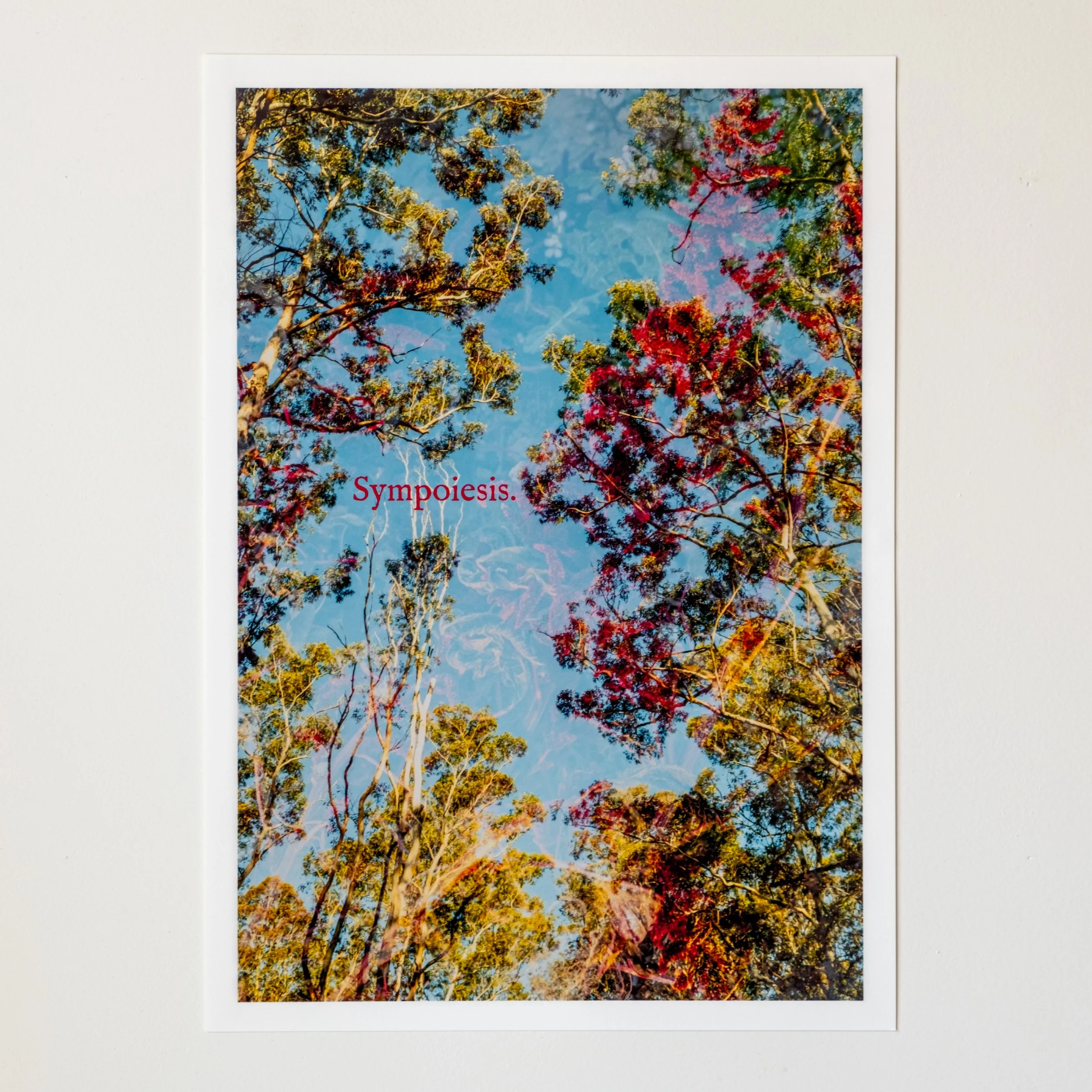 Sympoiesis. | A4 ART PRINT