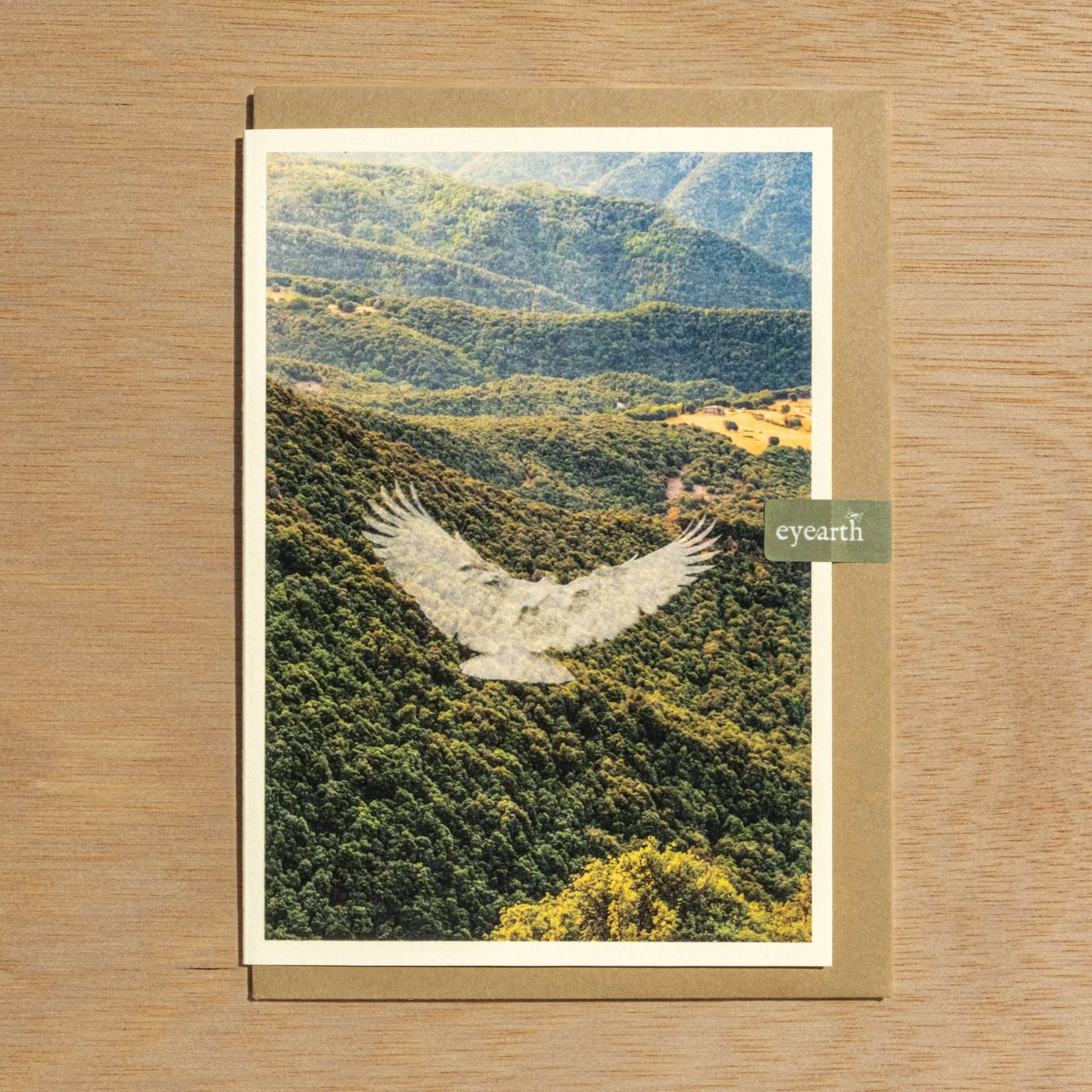 Social Freedom | A6 POSTCARD