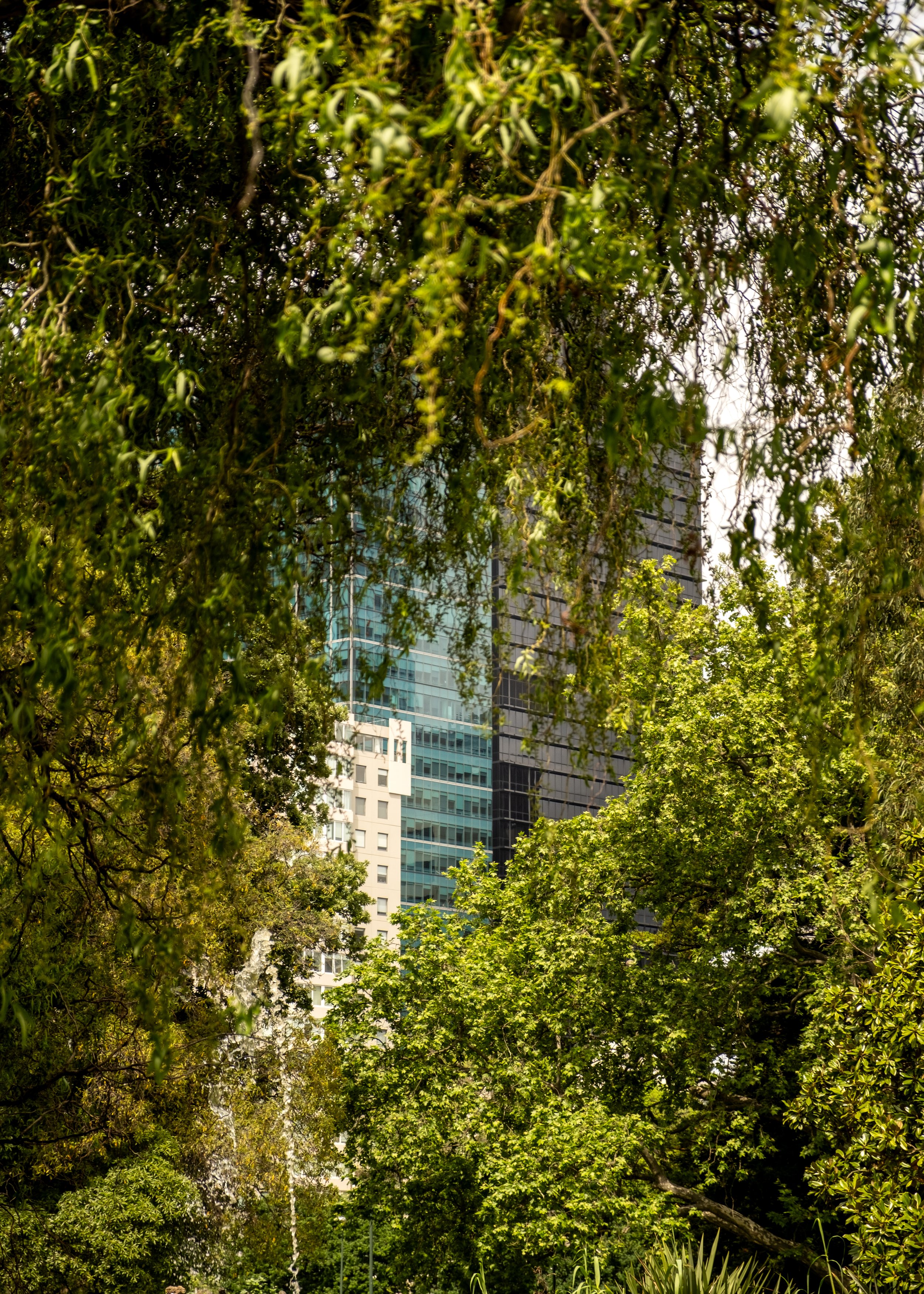 "Oneness", Melbourne, Australia.