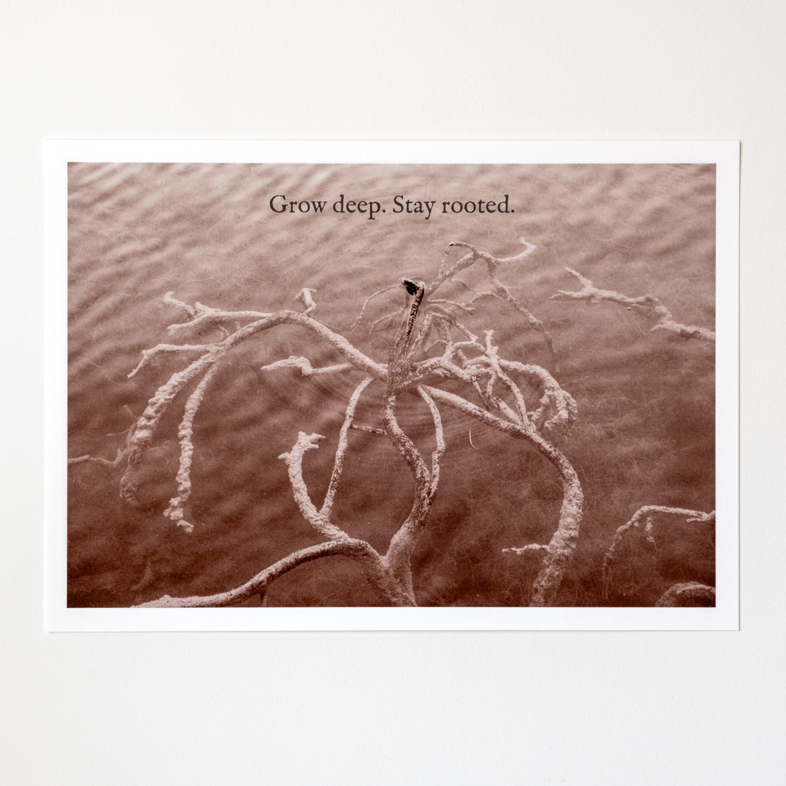Grow deep. Stay rooted. | A4 ART PRINT