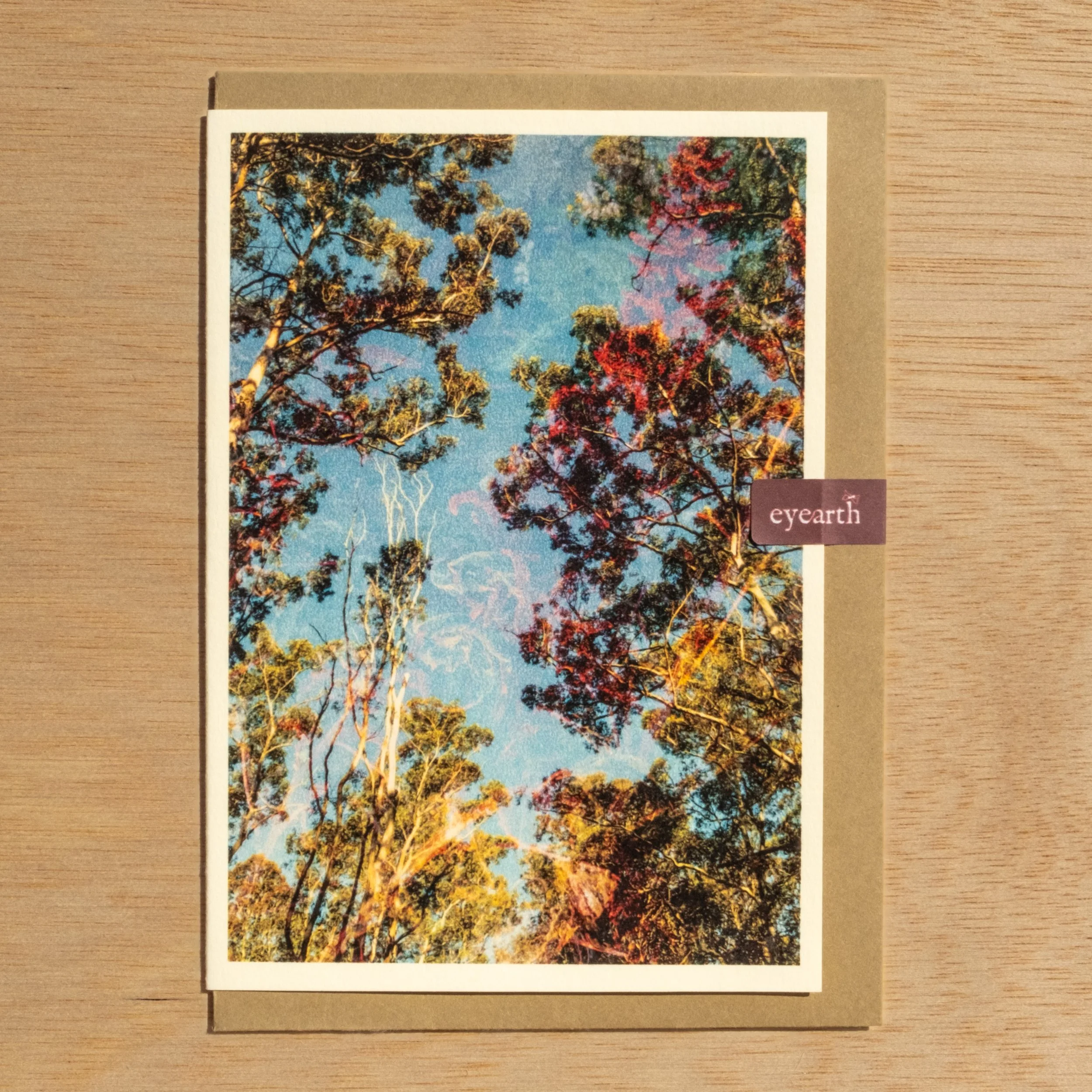 Anthropocentrism | A6 POSTCARD