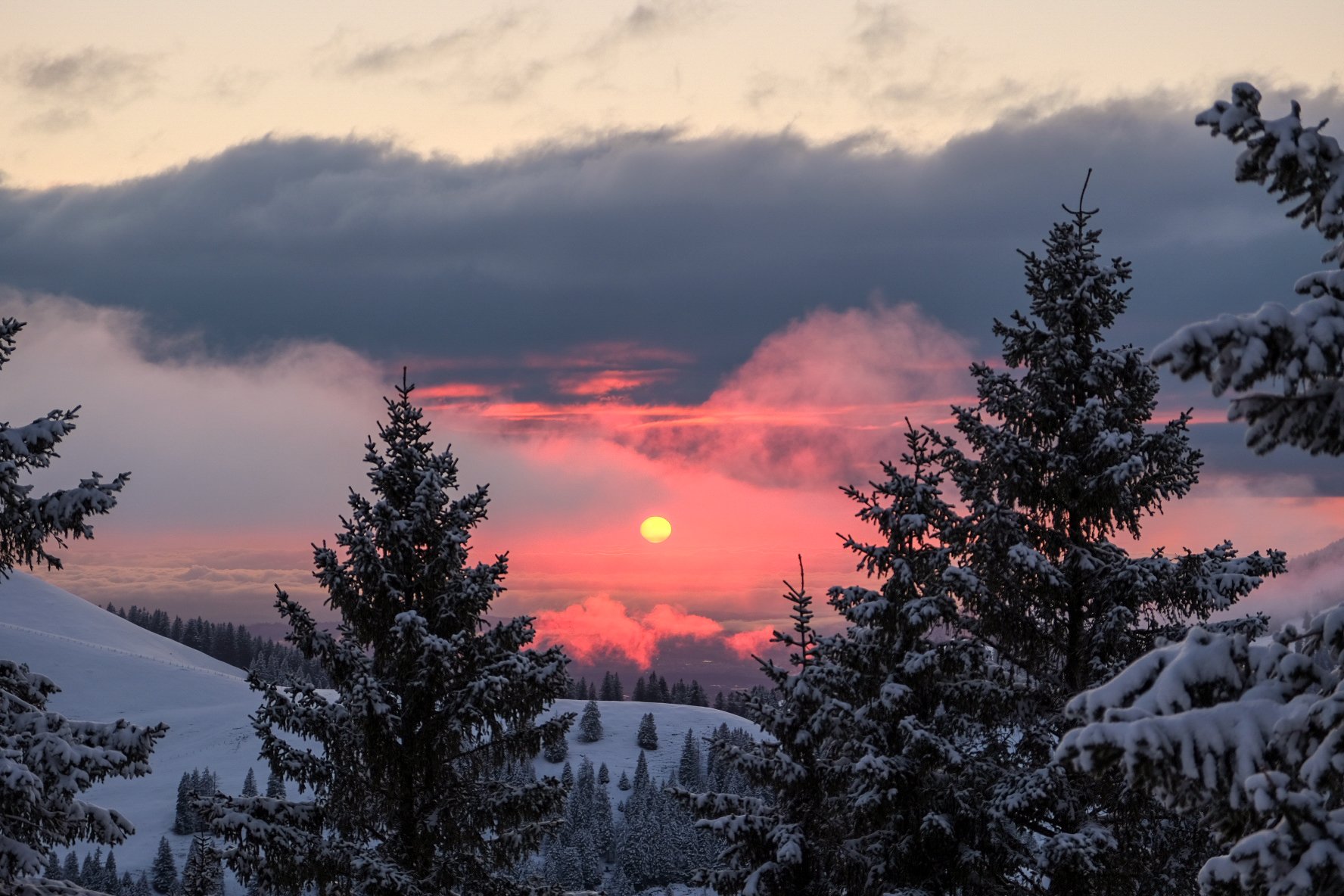 "After the storm", Rigi, Switzerland.