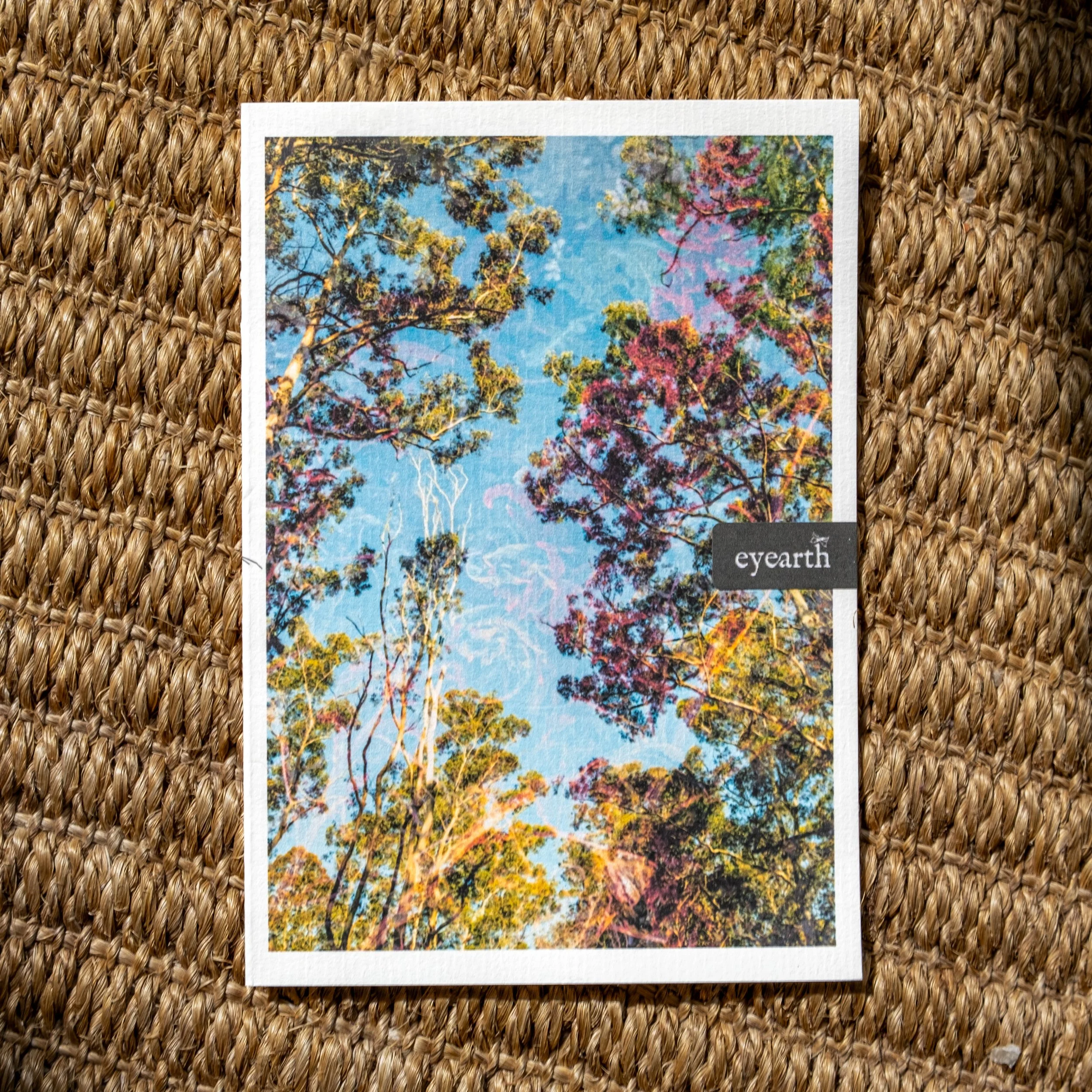 Sympoiesis | A6 POSTCARD