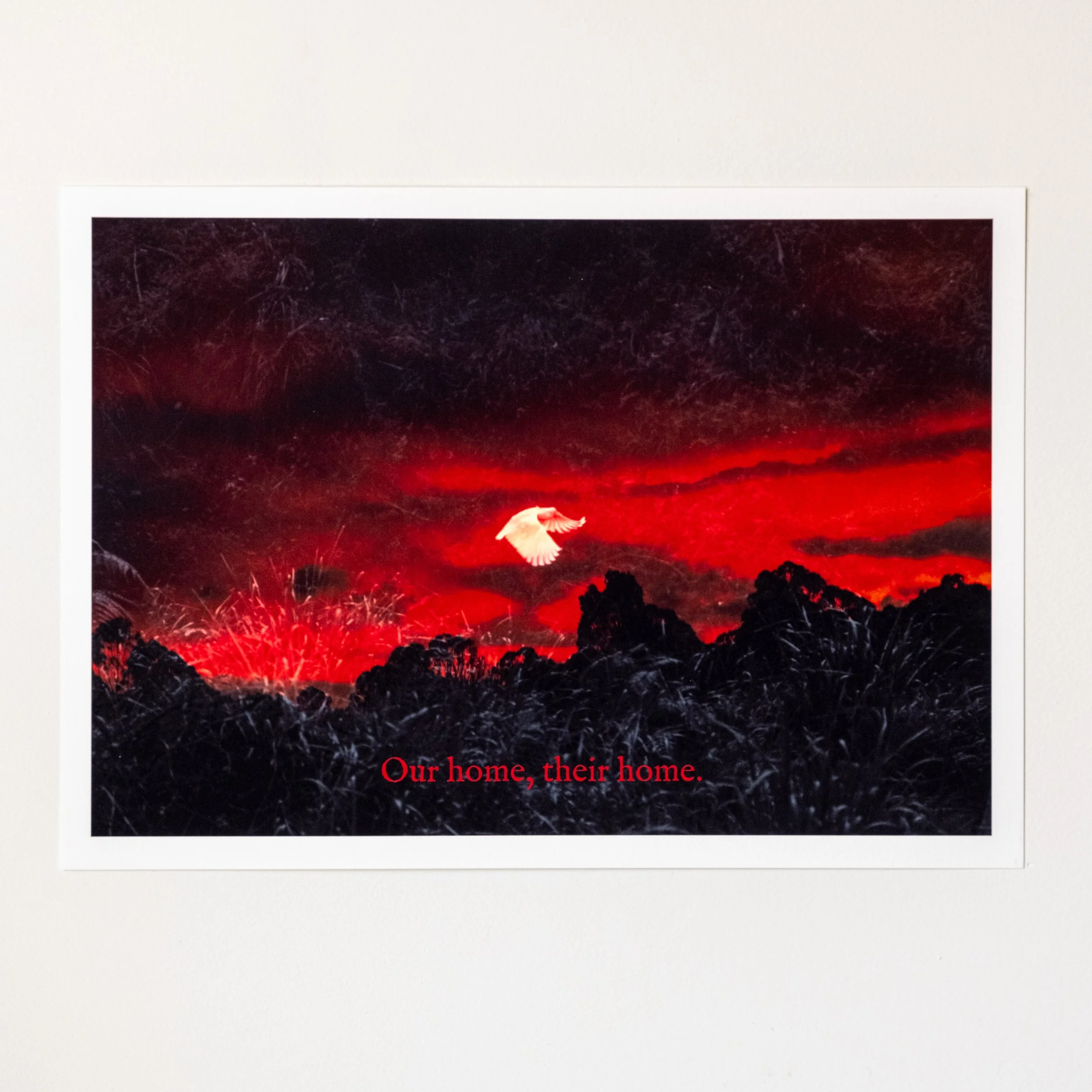 Our home, their home. | A4 ART PRINT