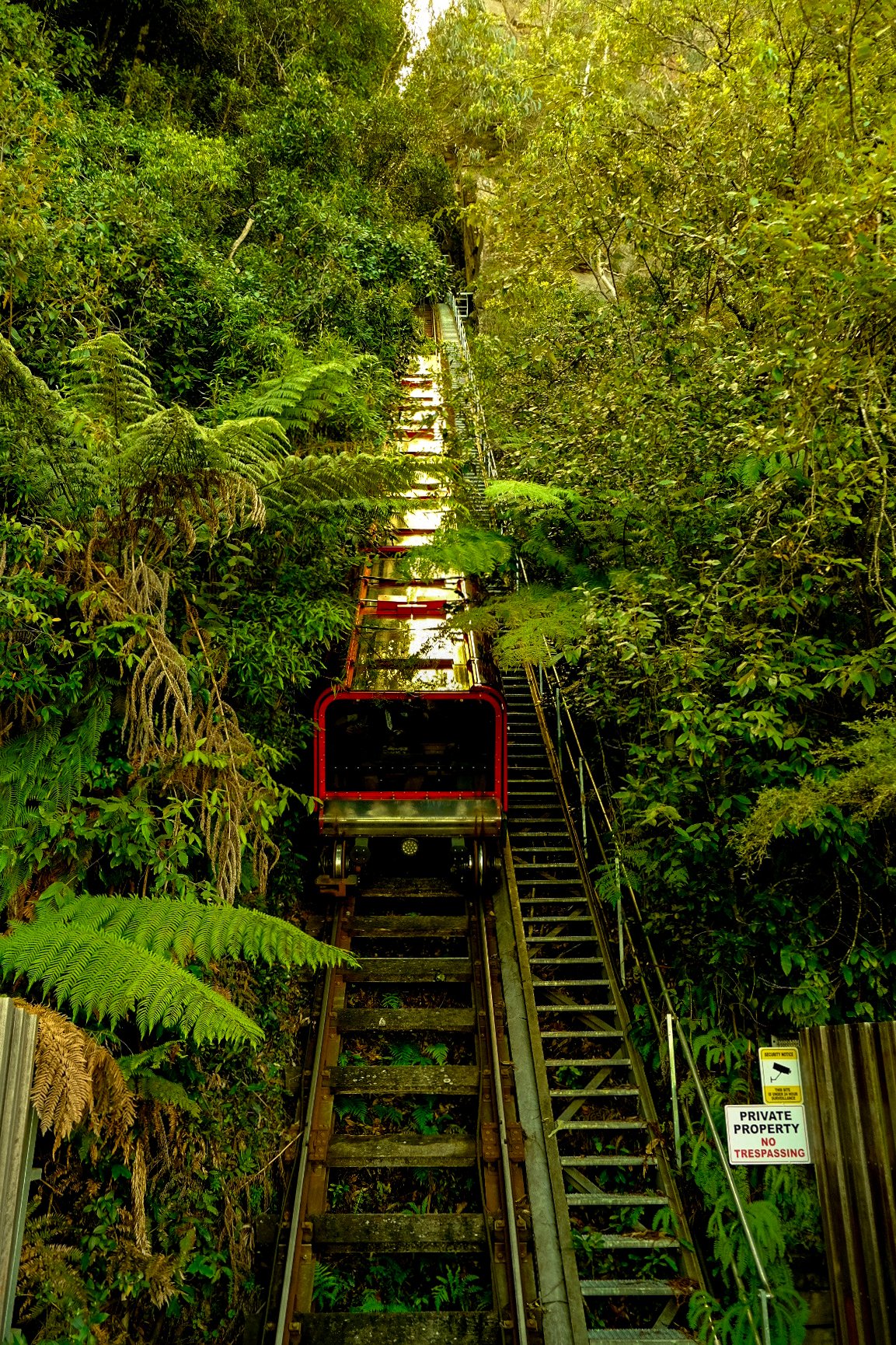 Blue Mountains, Australia.