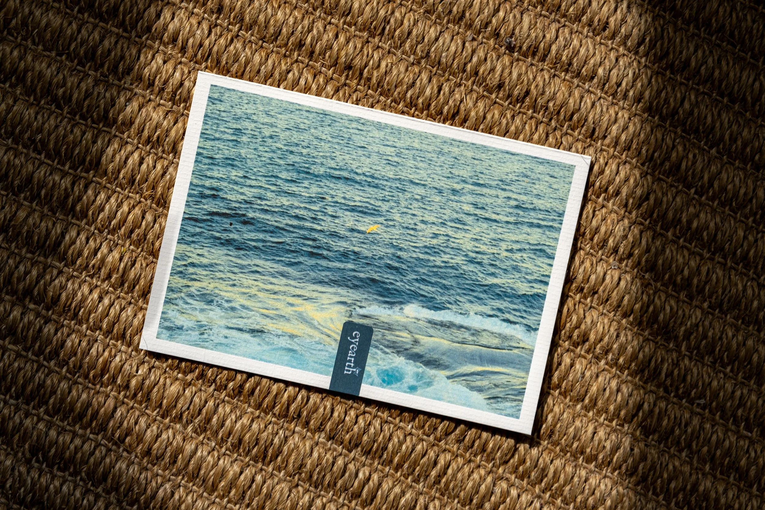 DSCF6109.jpg