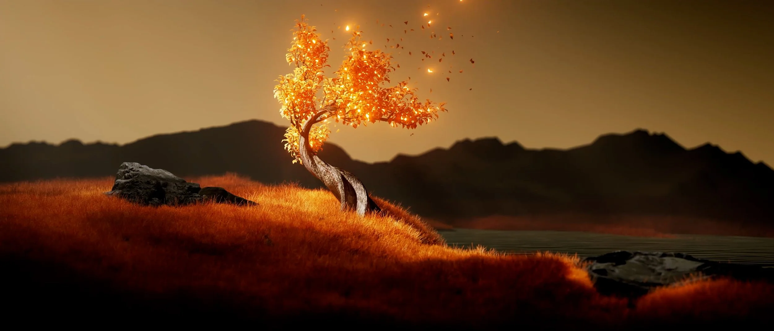 frame0153.jpg