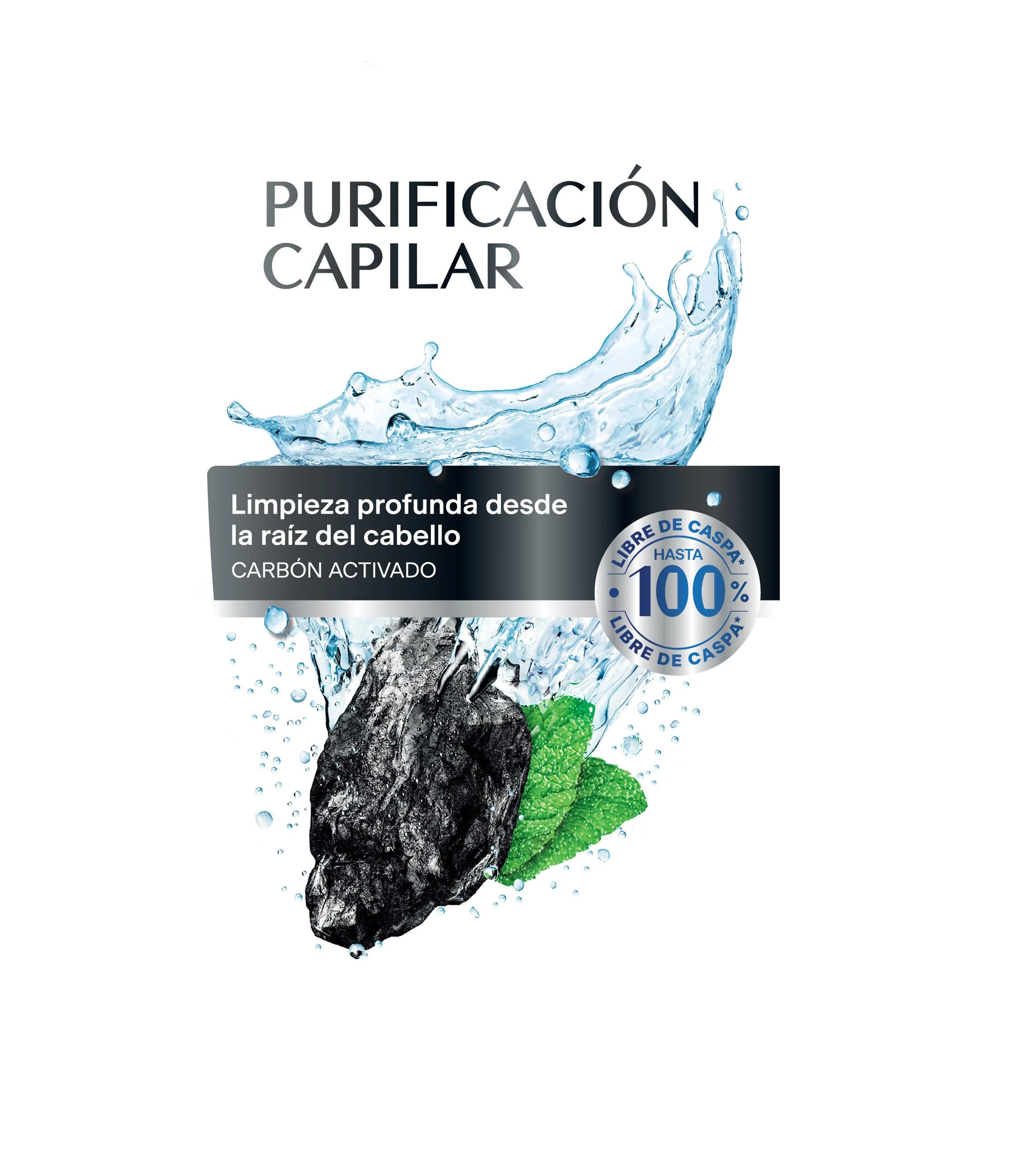 HSH006_04_AB_H&S_LatinAmerica_Charcoal_Shampoo_375ml_OL-01.jpg