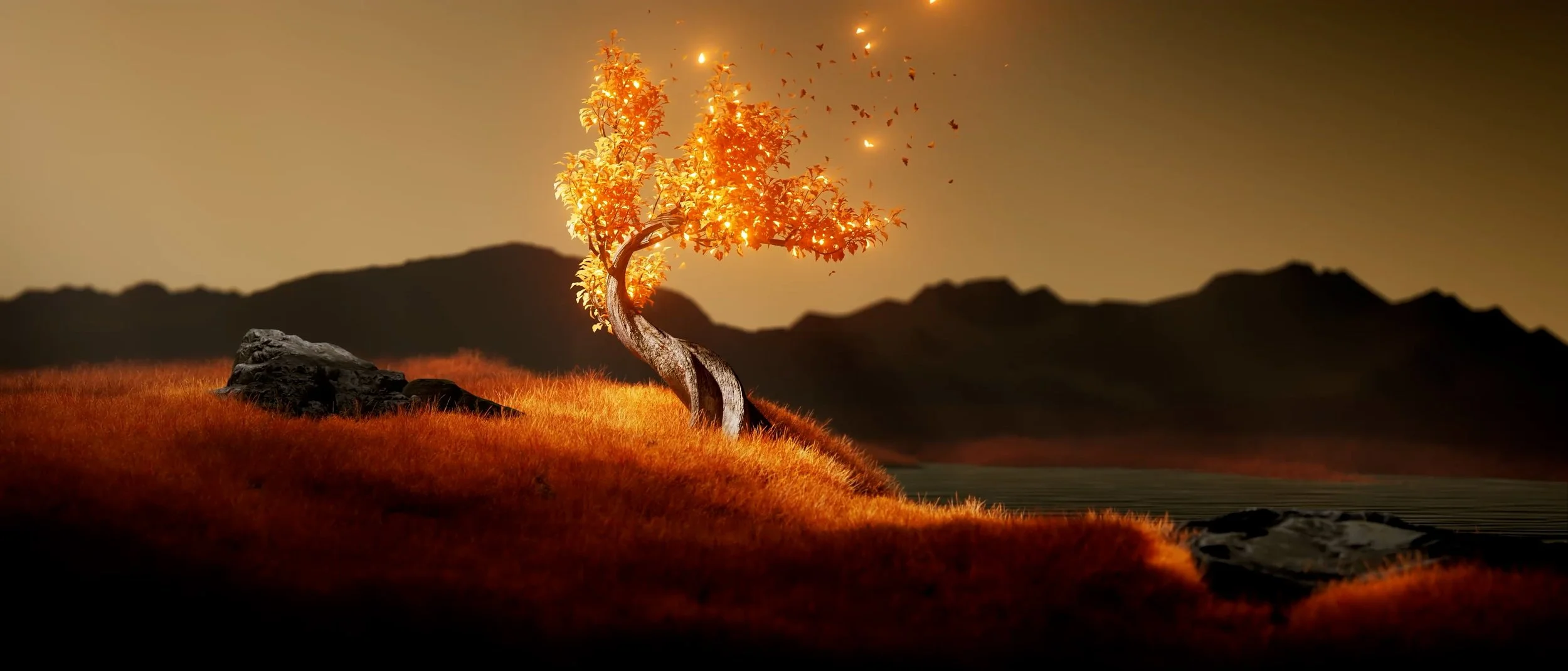 frame0148.jpg
