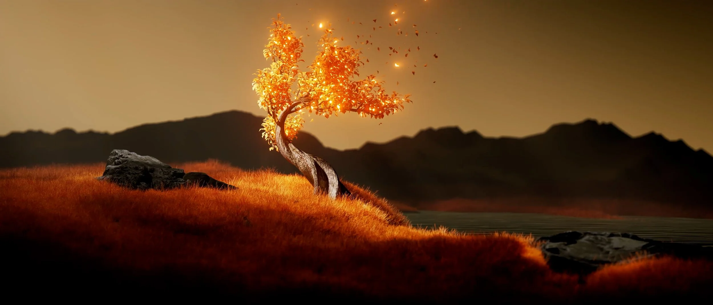frame0156.jpg