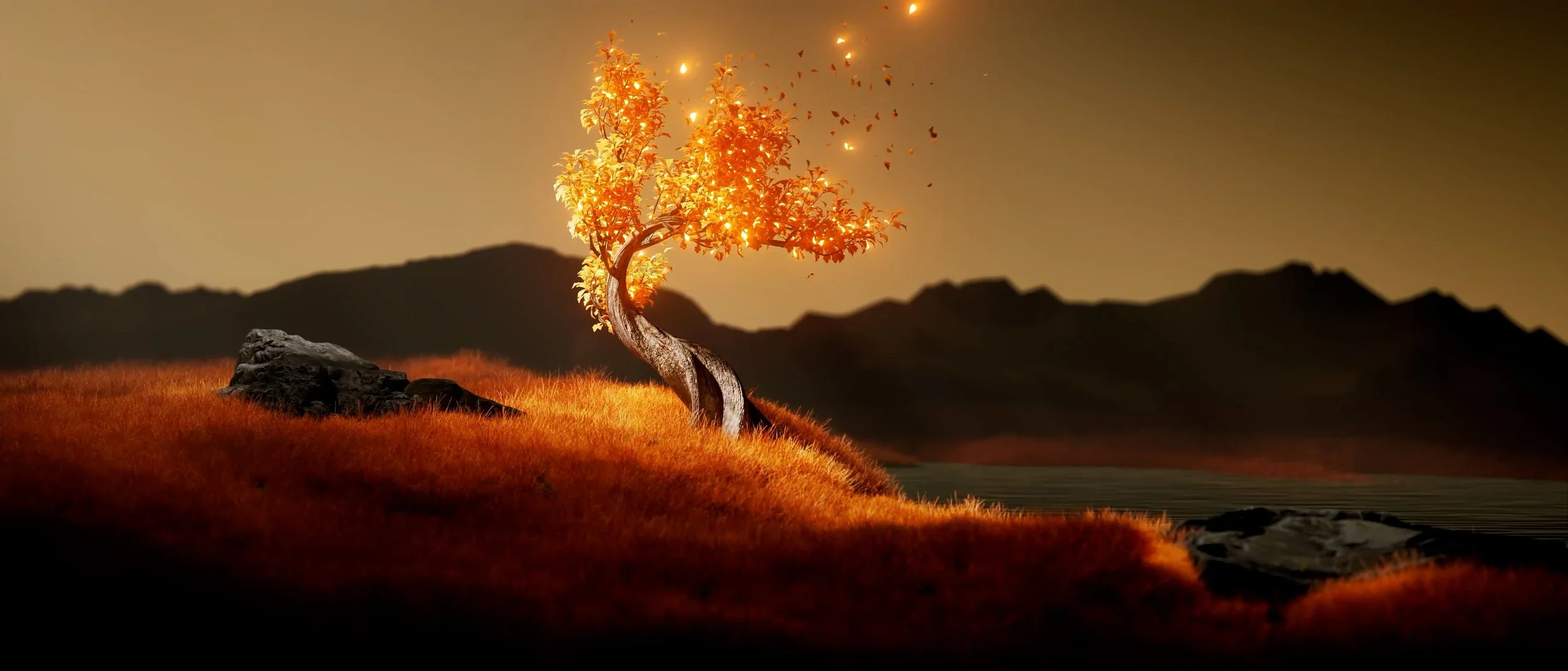 frame0108.jpg