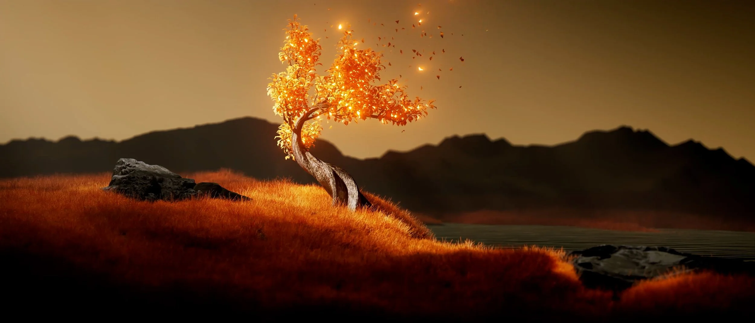 frame0158.jpg