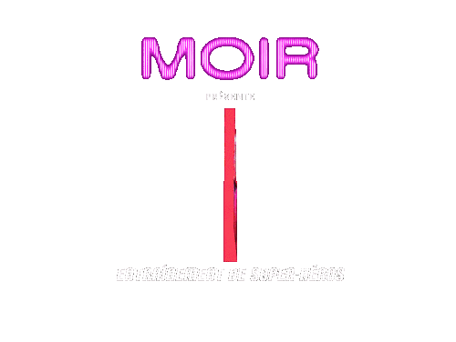 MOIR - MIR_EXPERIENCE_logo VF_FN_03.gif
