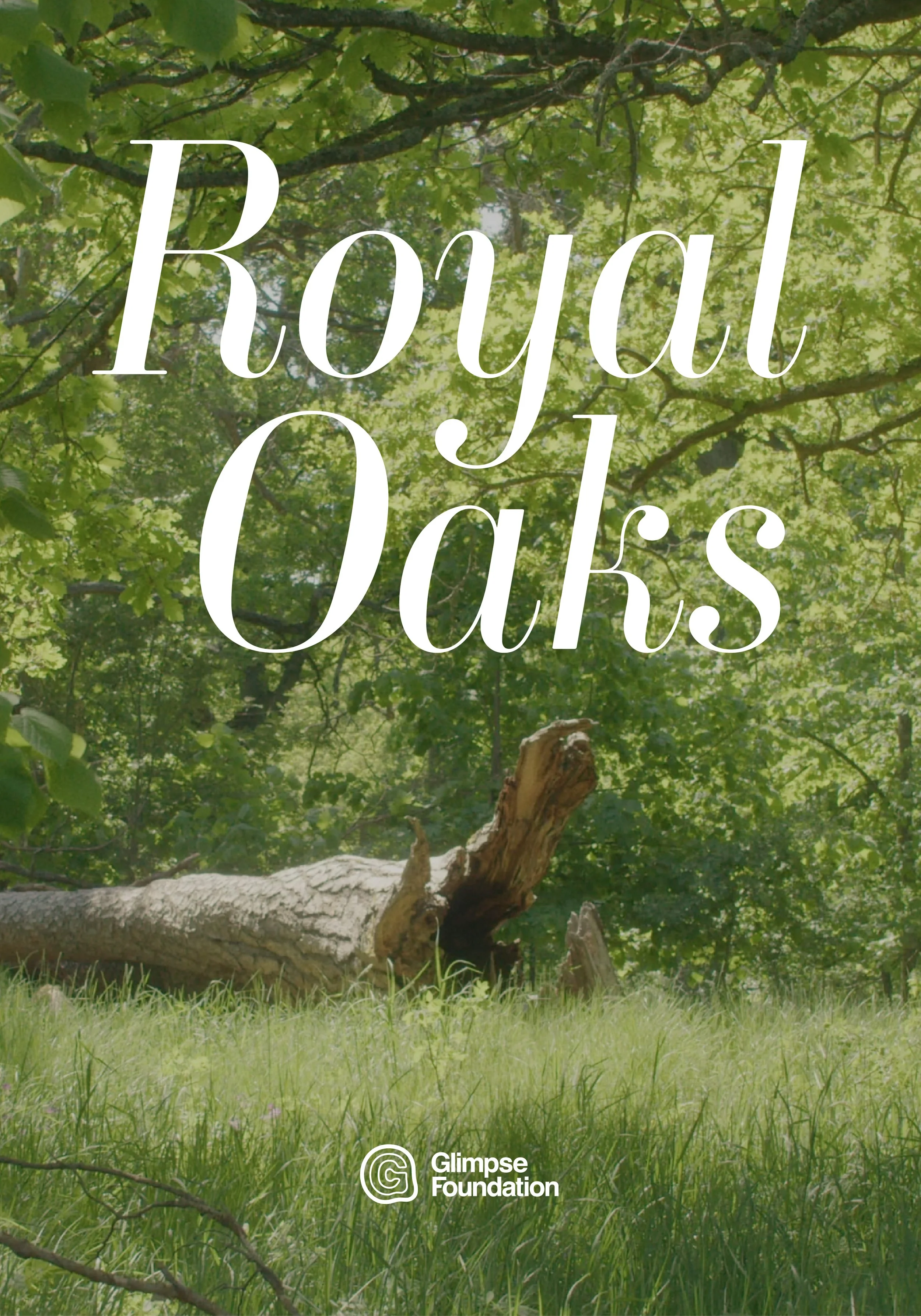 Royal Oaks poster.jpg
