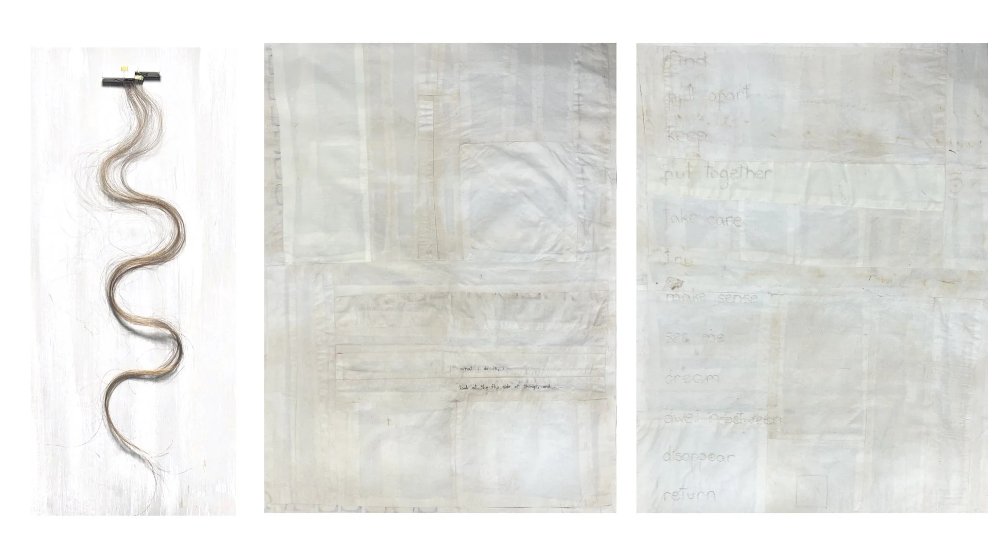 Hair used for Poster Body