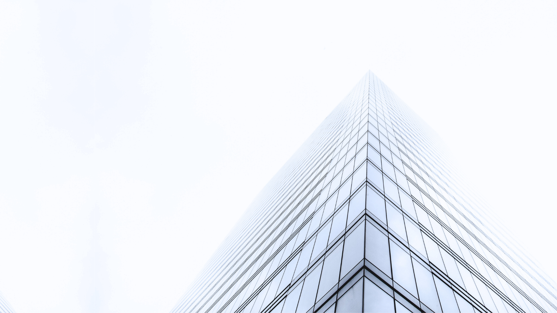 About Us — ATP Capital a venture builder that does more