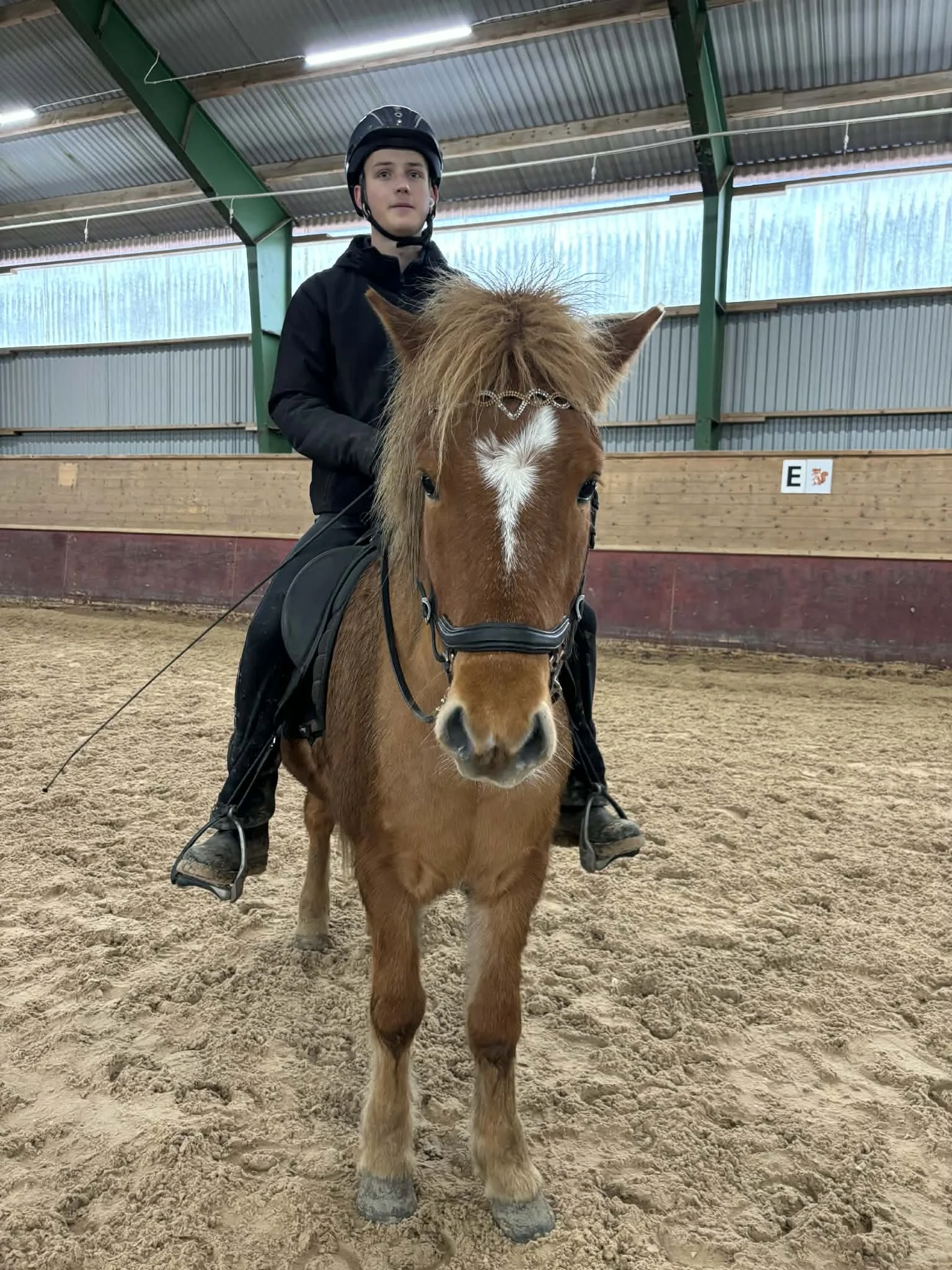 En person i hjälm ridandes på en liten häst i en ridhall.