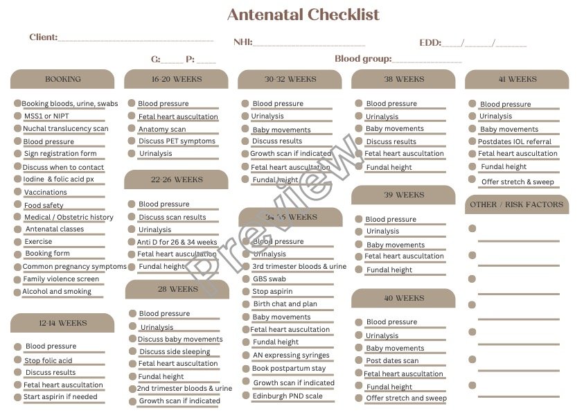 Antenatal checklist preview.jpg