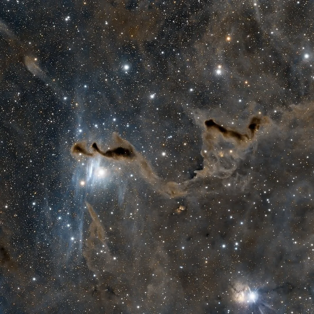 Image by @mrcllmrtn26
LDN 1355
✨ 🌌 🔭 ✨ 🌌 🔭 ✨ 🌌 🔭 ✨ 🌌 🔭
Use #astromaniacmagazine to feature your astrophotography work 🪐 
Visit our website for Astro gear reviews, articles, and read the story of talented astrophotographers featured in our