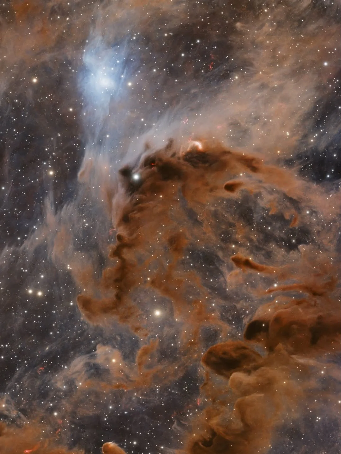 Image by @bright_ascension
LDN 1448 & VdB 13
✨ 🌌 🔭 ✨ 🌌 🔭 ✨ 🌌 🔭 ✨ 🌌 🔭
Use #astromaniacmagazine to feature your astrophotography work 🪐 
Visit our website for Astro gear reviews, articles, and read the story of talented astrophotographer