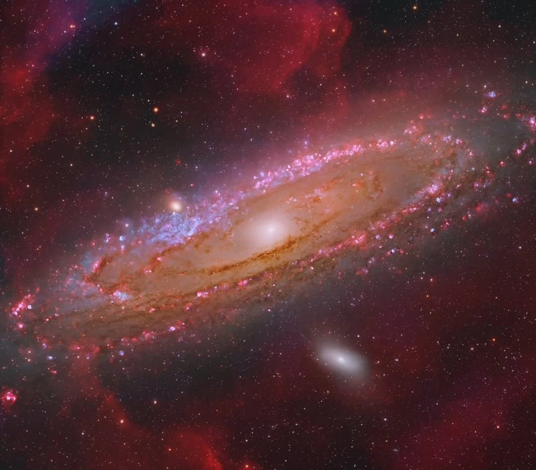 Image by @anthonyrsaab
M31 - The Andromeda Galaxy

✨ 🌌 🔭 ✨ 🌌 🔭 ✨ 🌌 🔭 ✨ 🌌 🔭
Use #astromaniacmagazine to feature your astrophotography work 🪐 

Visit our website for Astro gear reviews, articles, and read the story of talented astrophotographe