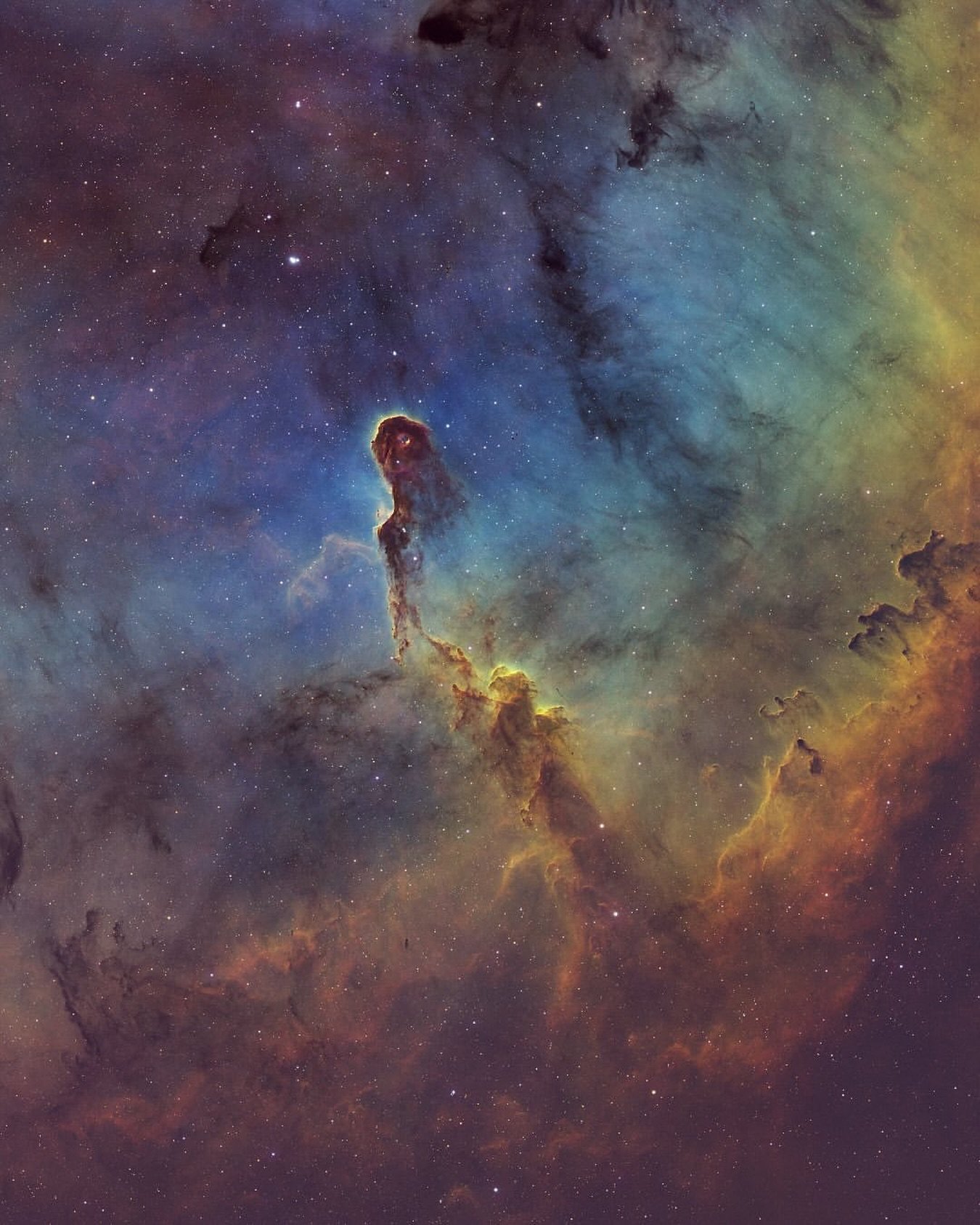 Image by @dansullivan
IC 1396A 

✨ 🌌 🔭 ✨ 🌌 🔭 ✨ 🌌 🔭 ✨ 🌌 🔭
Use #astromaniacmagazine to feature your astrophotography work 🪐 

Visit our website for Astro gear reviews, articles, and read the story of talented astrophotographers featured in our