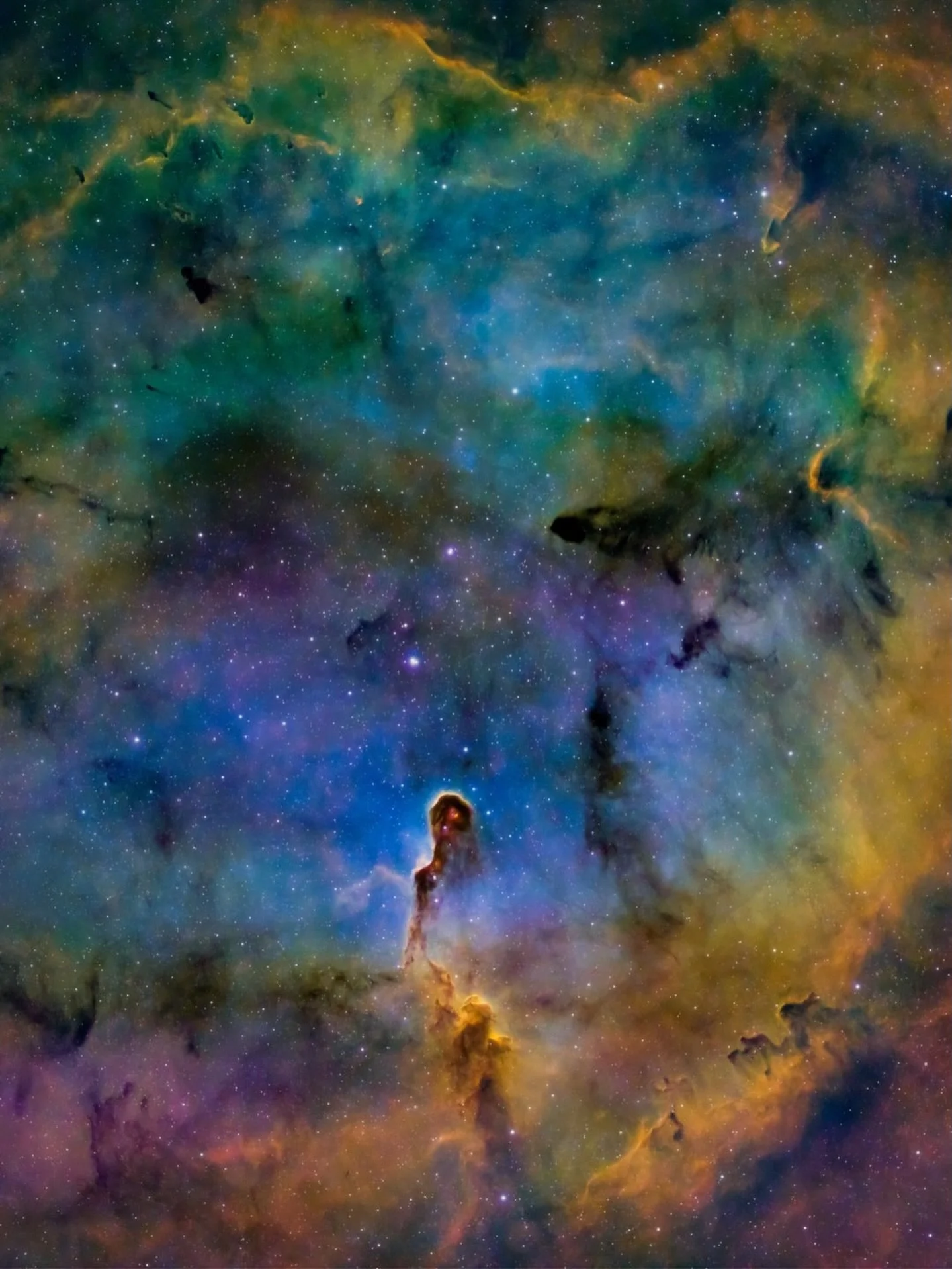 Image by @danborjaa
The Elephant&rsquo;s Trunk Nebula

✨ 🌌 🔭 ✨ 🌌 🔭 ✨ 🌌 🔭 ✨ 🌌 🔭
Use #astromaniacmagazine to feature your astrophotography work 🪐 

Visit our website for Astro gear reviews, articles, and read the story of talented astrophotogr