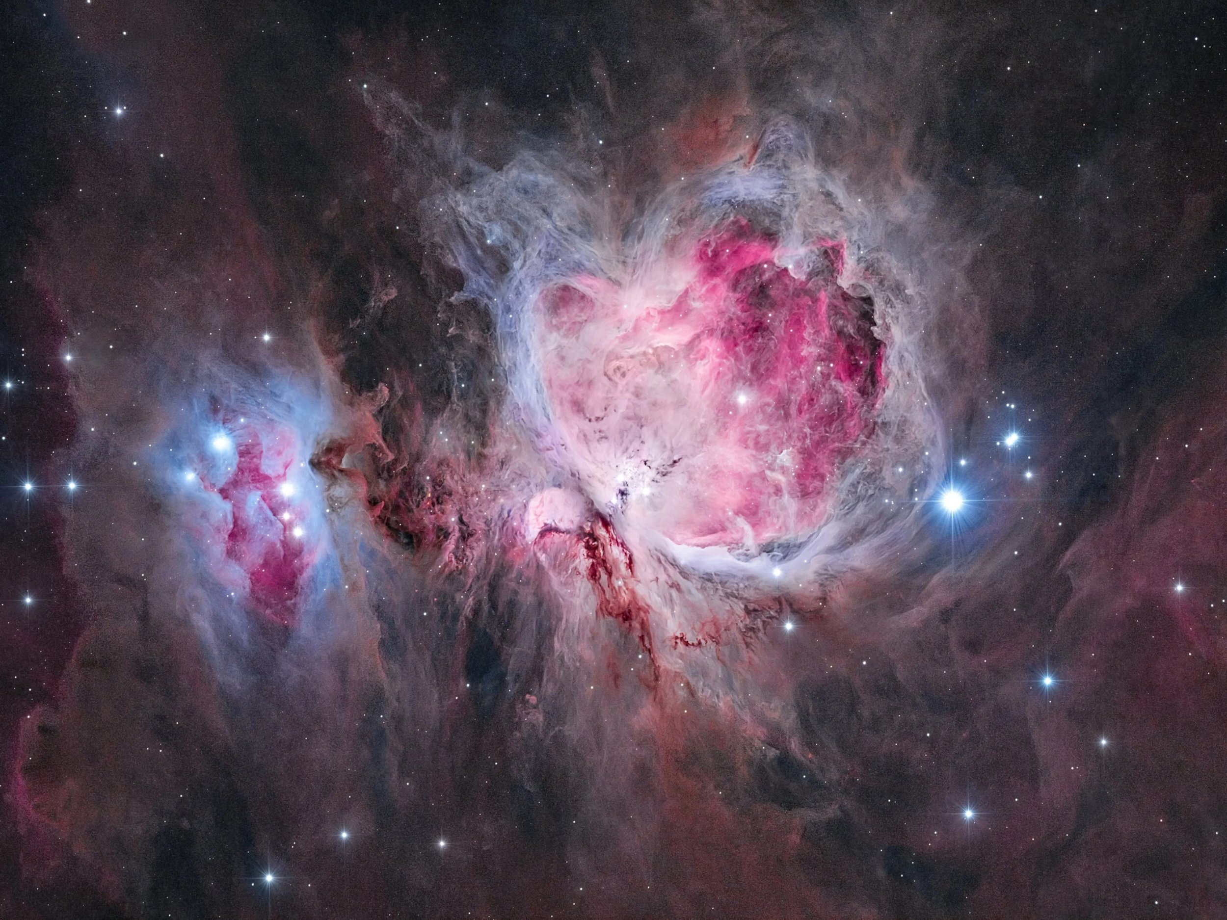 Messier 42 by Kasra Karimi