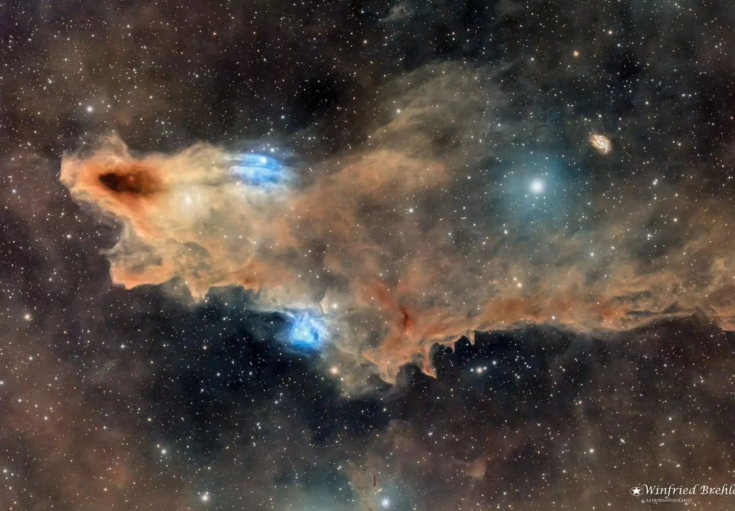 Image by @winfried_in_motion
The LDN 1235 &ndash; The Dark Shark Nebula drifts silently through the constellation of Cepheus, its striking silhouette resembling a shark swimming across the stars. A beautiful reminder that even the darkest regions of 