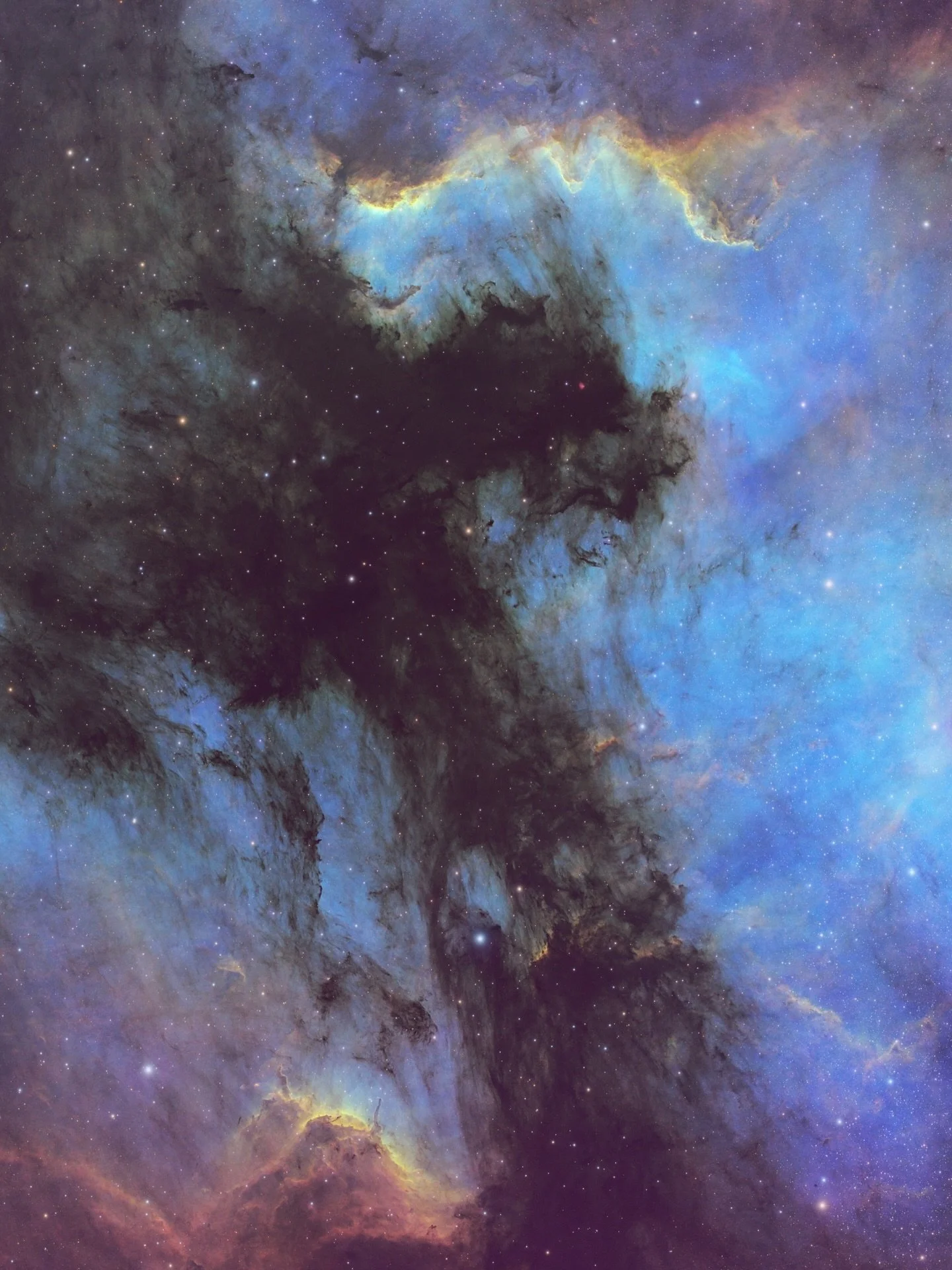 Image by @dc_astrophotography
NGC 7000 - NORTH AMERICA NEBULA 
IC 5070 - PELICAN NEBULA

Dark and emission nebulae dance across this wide-field view of the North America Nebula complex. By mapping Sulfur II gas emissions to the color red, Hydrogen Al
