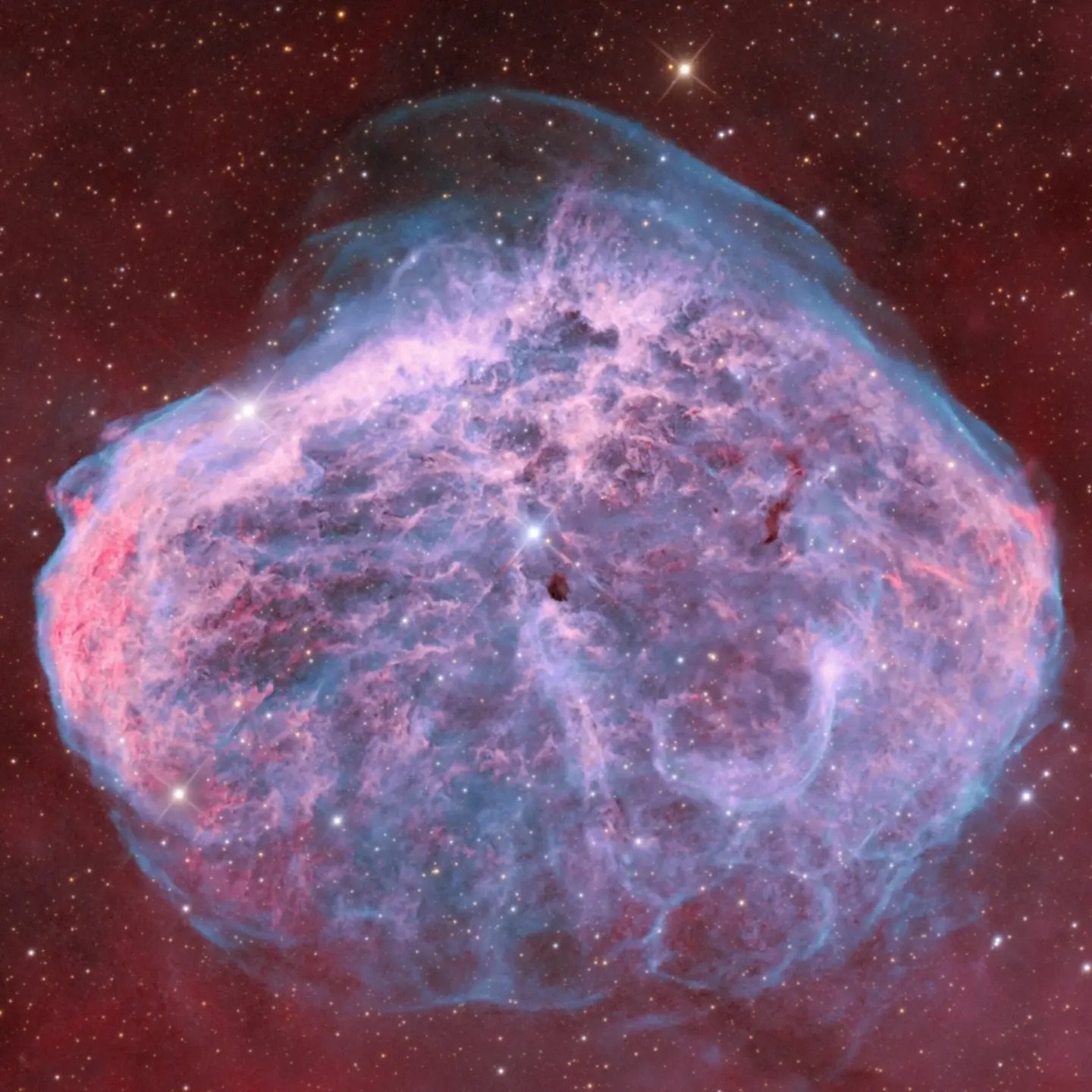 Image by @astrophoto.bart
NGC 6888, also known as the Crescent
Nebula, is located in the constellation of Cygnus, about 5,000 light-years away from Earth. It was formed around 250,000 years ago when its central star, WR 136, shed its outer layers, cr