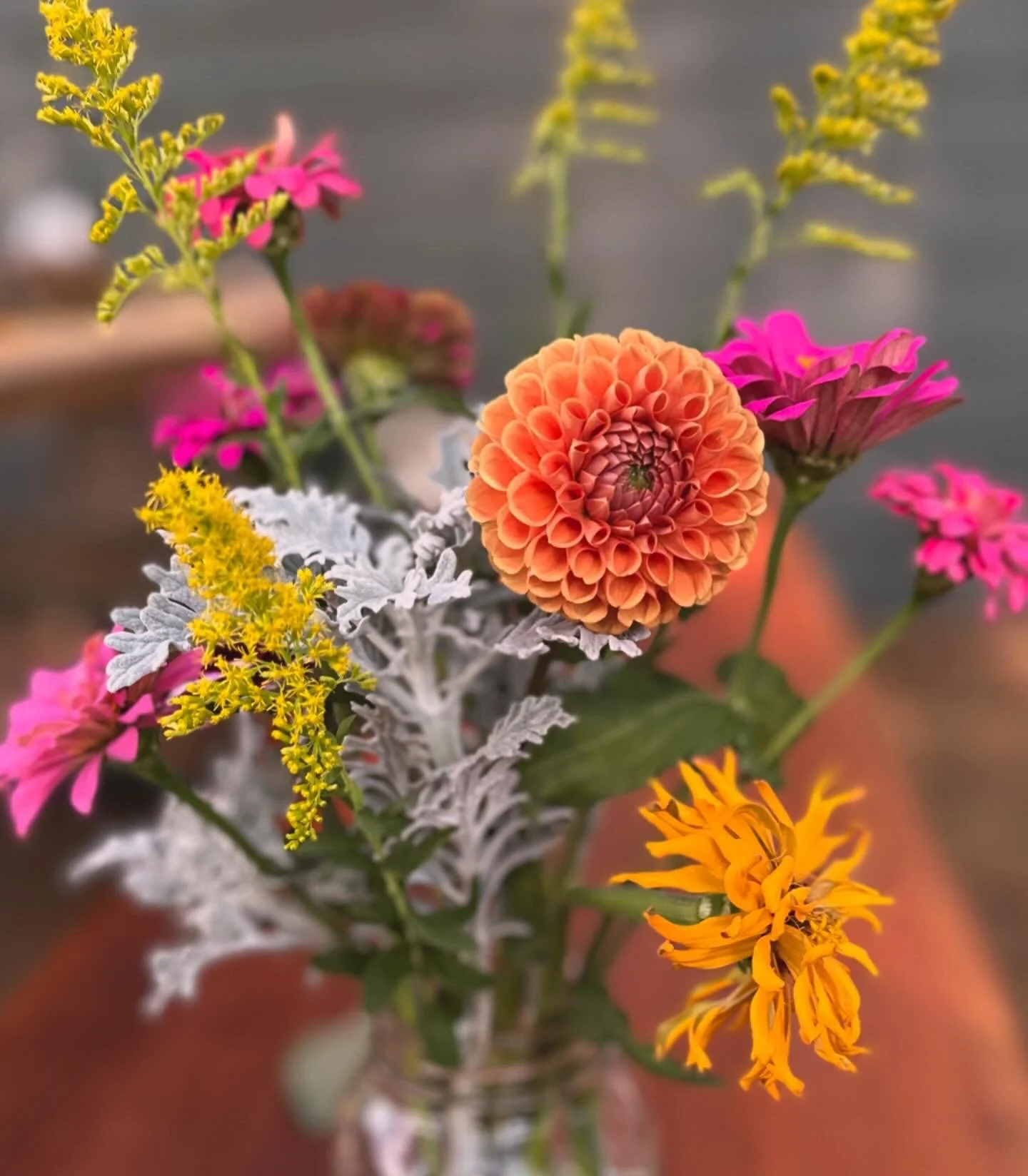 Dahlias &amp; Zinnias