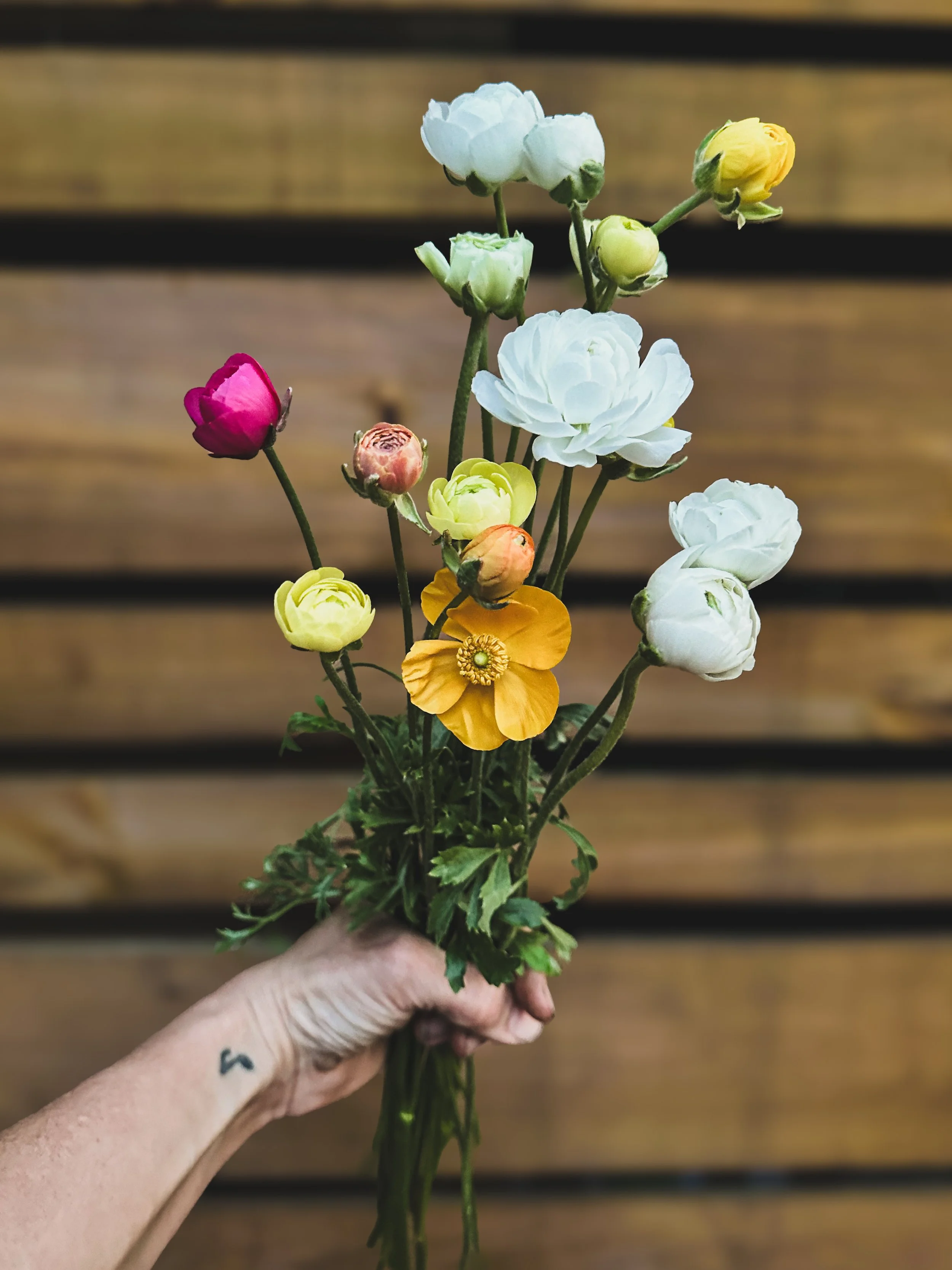 Mix & Match - Bunch Ranunculus