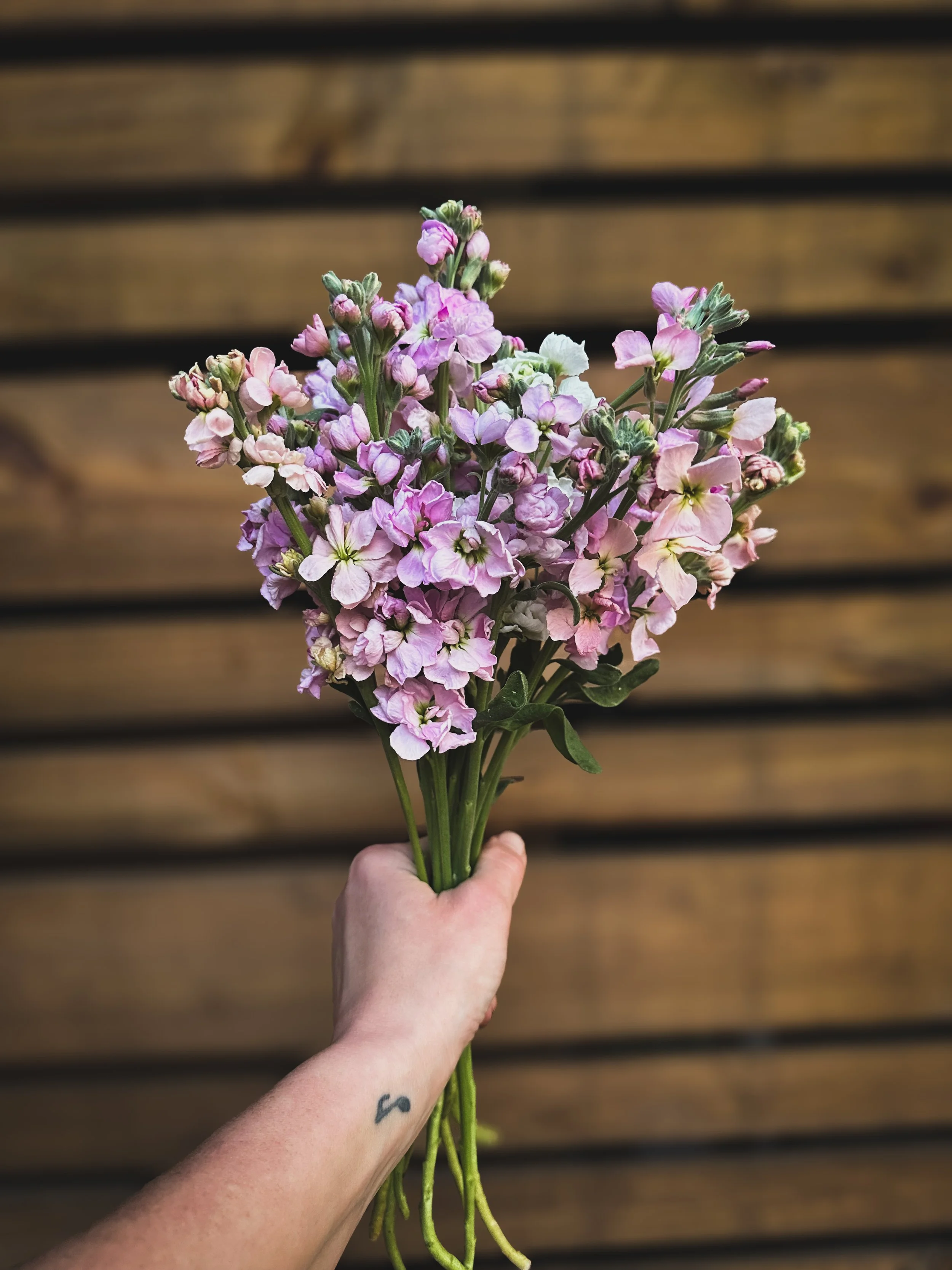 Mix & Match - Bunch Stock